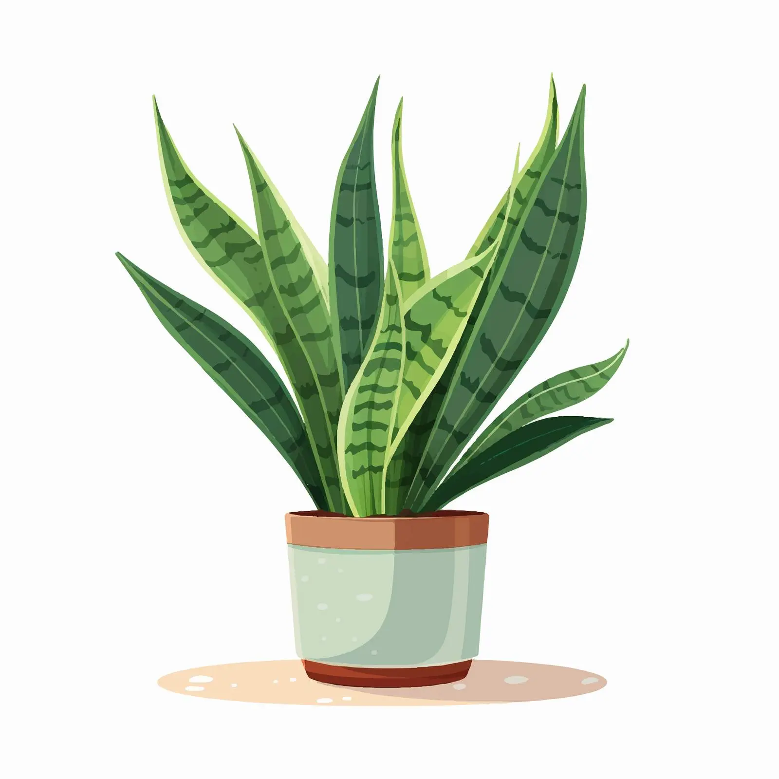 Sansevieria Green Snake Plant in Pot — free download from Dotvec