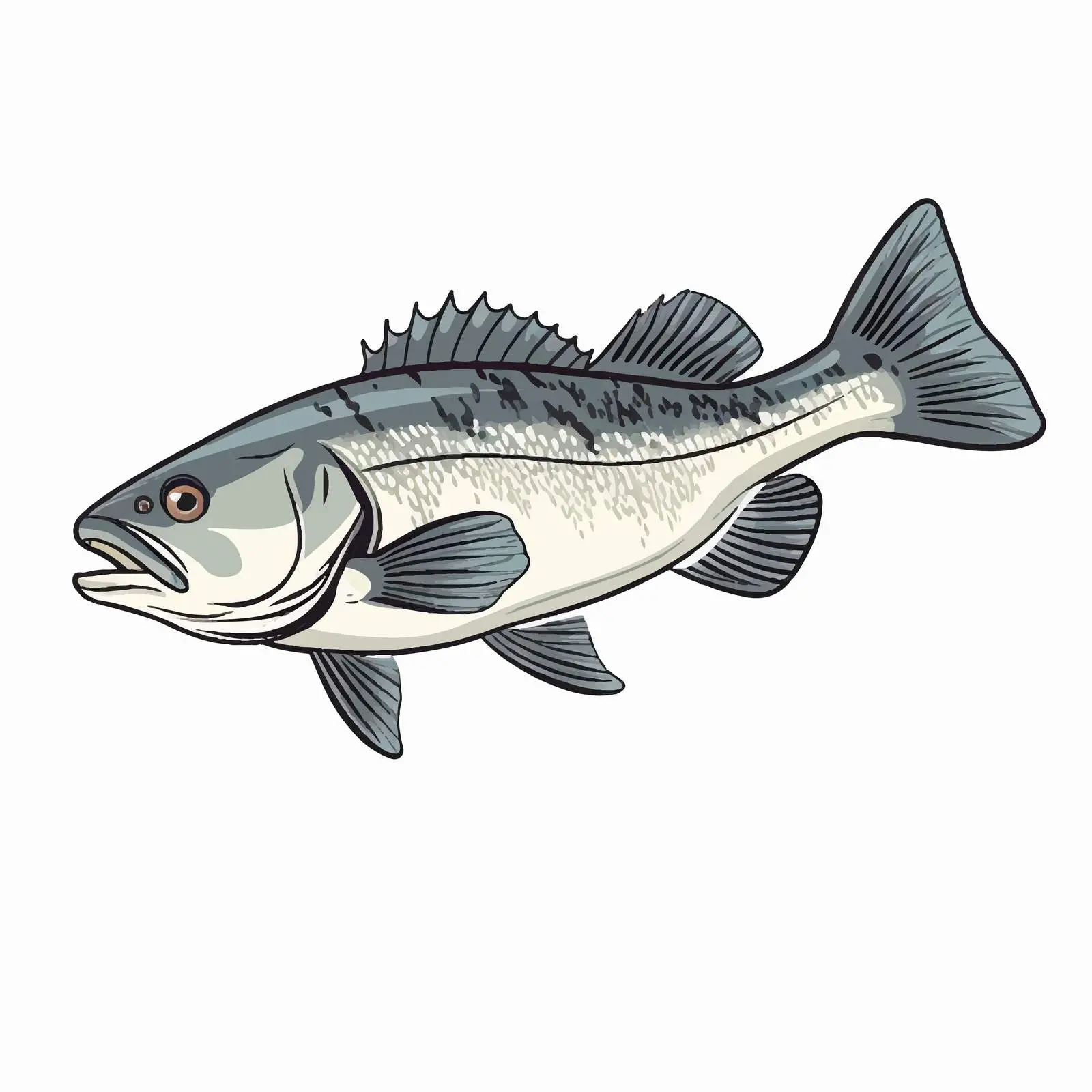 Sea Bass Fish Line Vector Illustration — free download from Dotvec