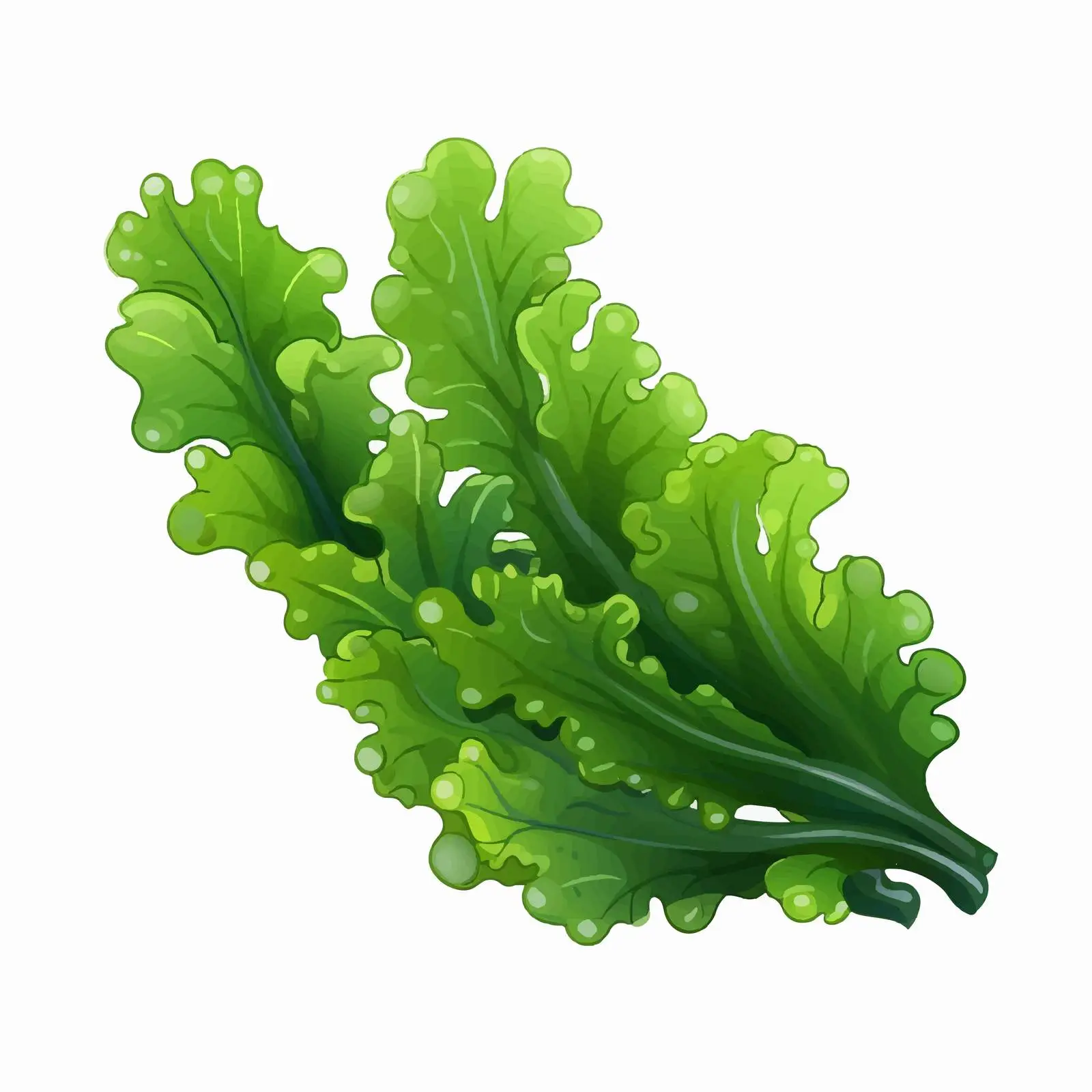 Sea Grapes: Green Caviar Algae Illustration — free download from Dotvec