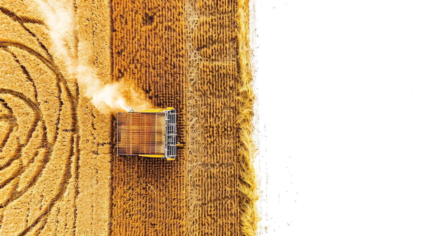 Rural Serbia: Harvesting Wheat in Vojvodina — free download from Dotvec