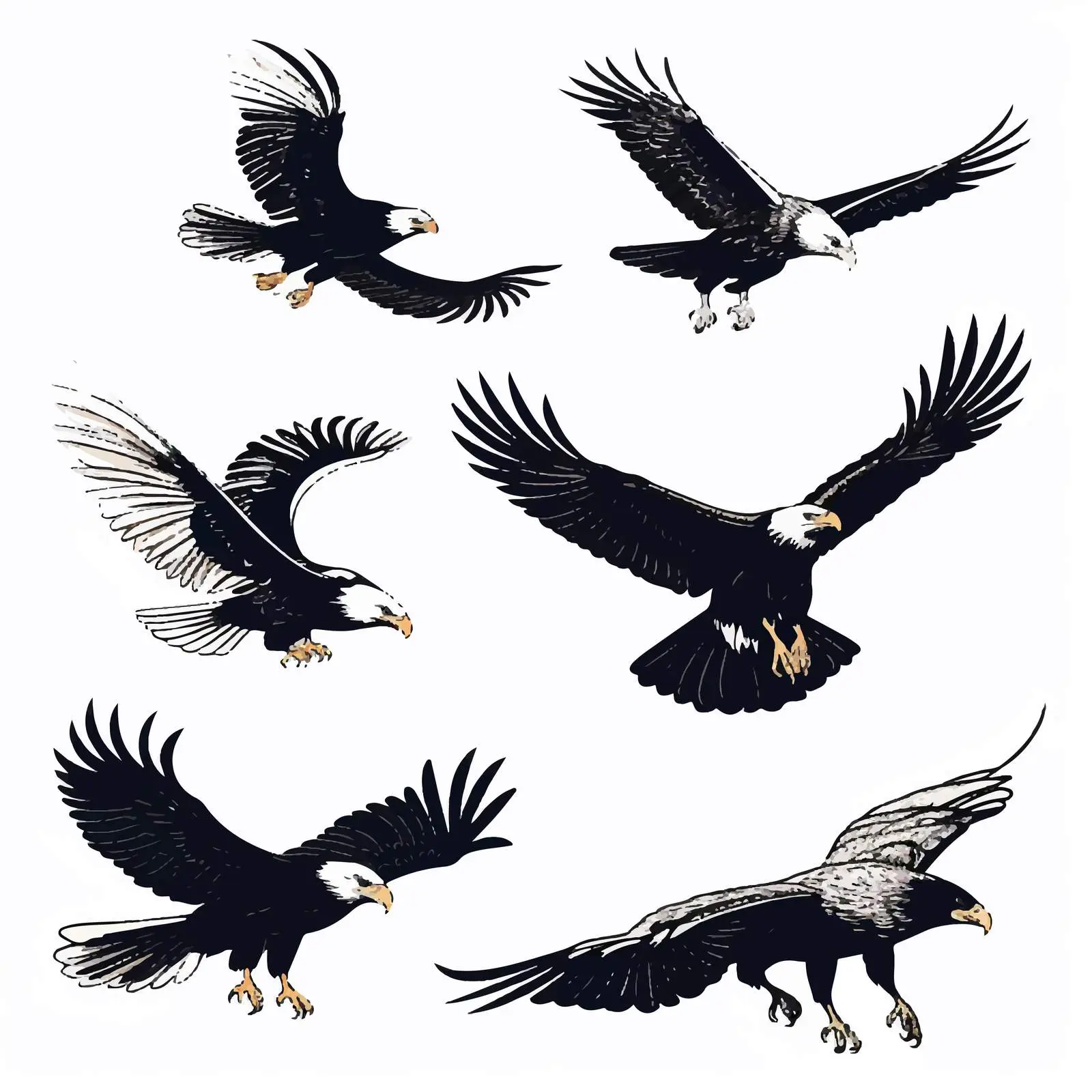Eagle Character Set and Silhouette Vector — free download from Dotvec
