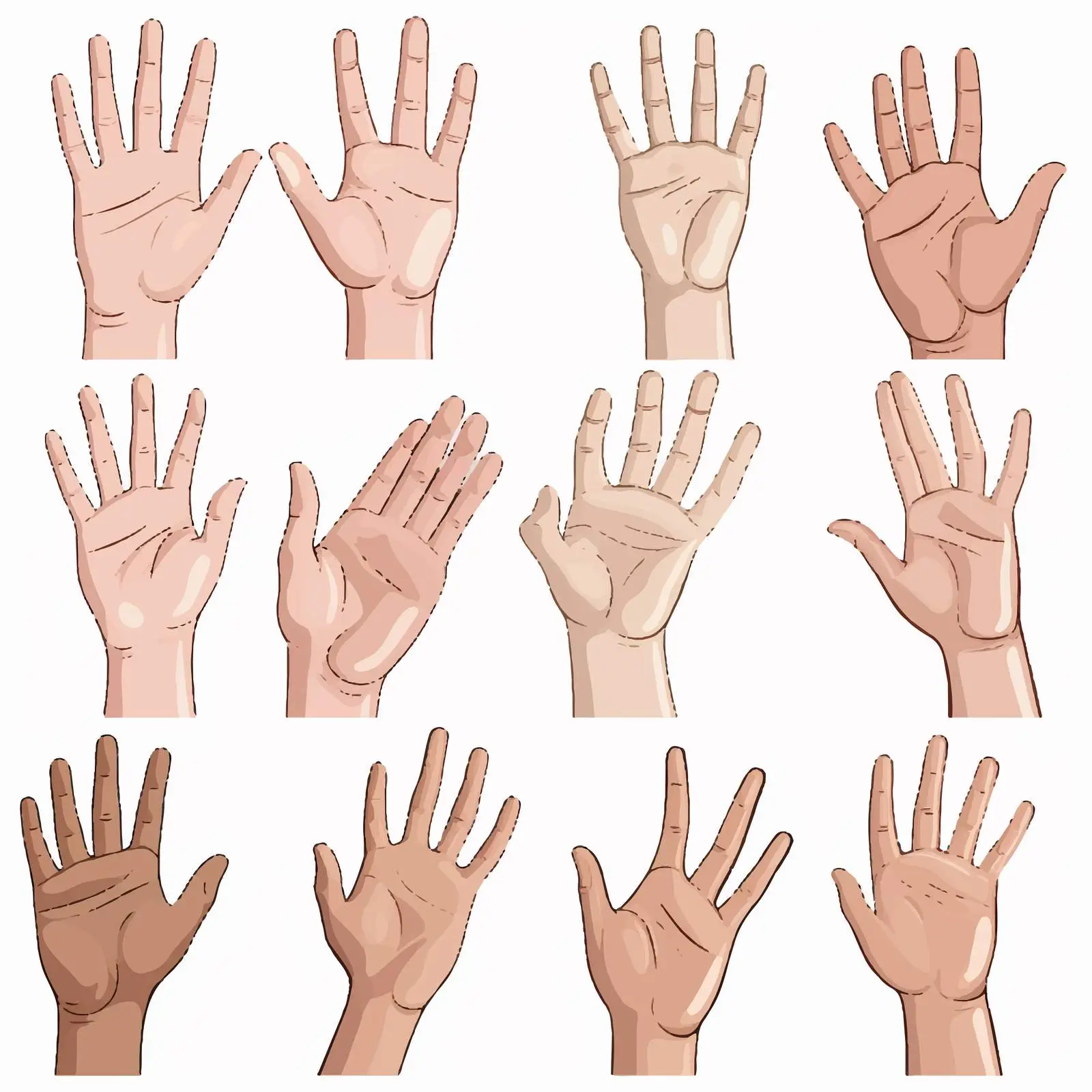 Human Hands Gestures and Positions Vector Set – free fist image from Dotvec