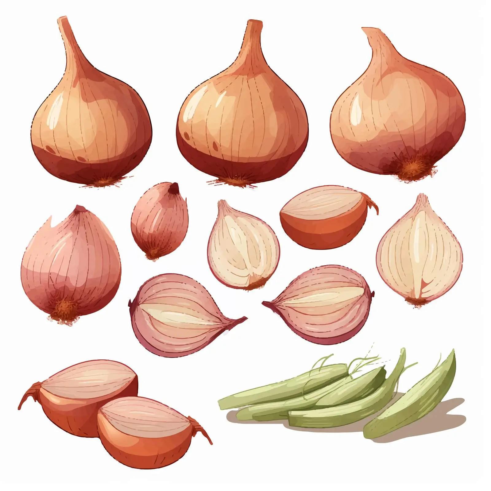 Whole and Sliced Shallot Vector Illustration — free download from Dotvec