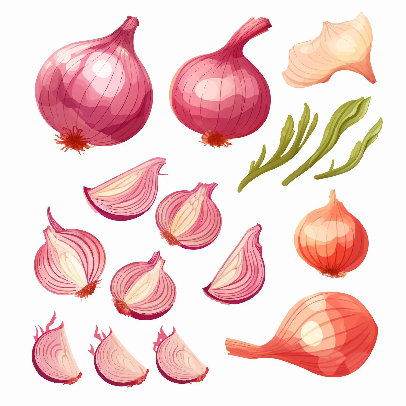 Whole and Sliced Shallot Vector Illustration — free download from Dotvec