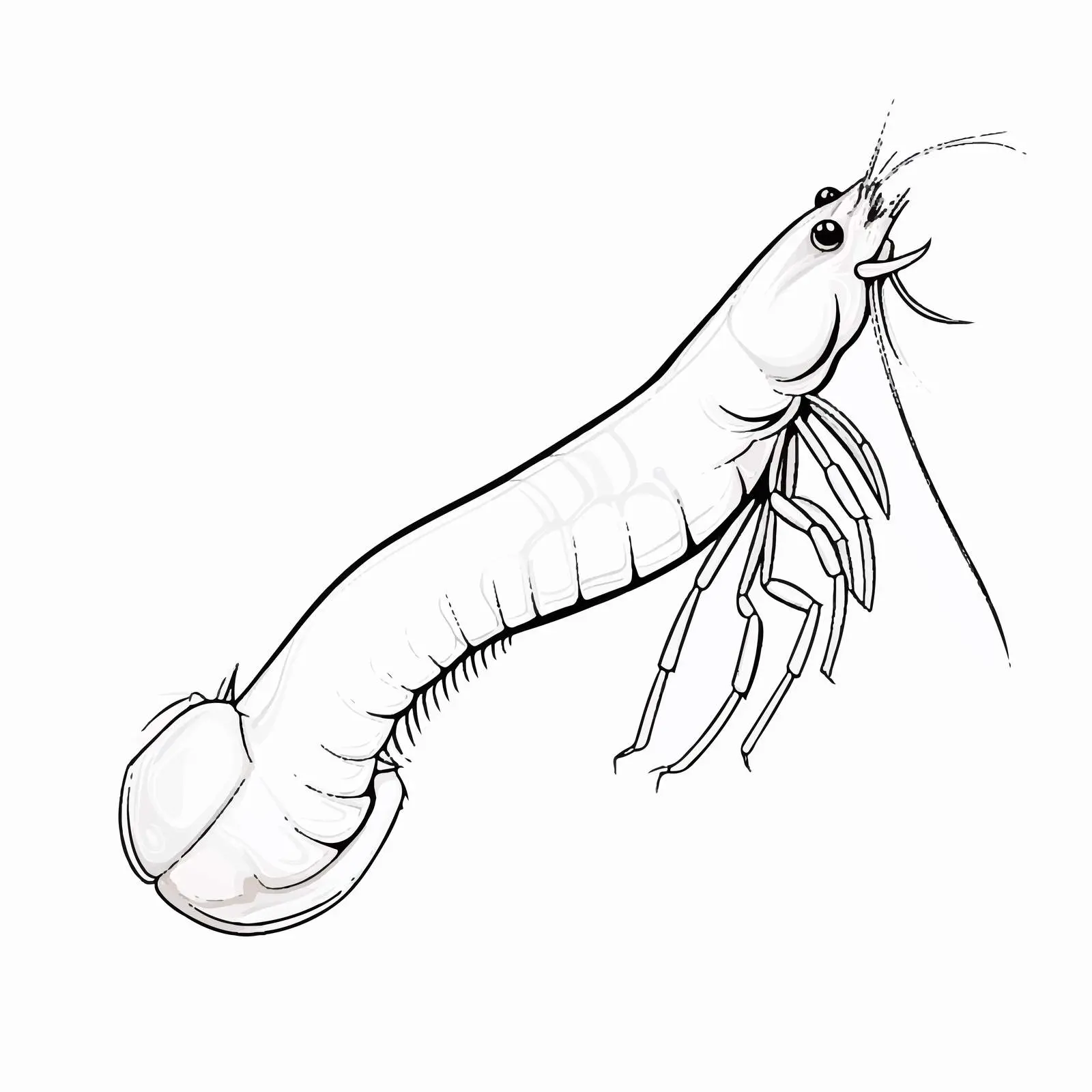 Cartoon Shrimp Outline Vector Illustration – free prawn image from Dotvec