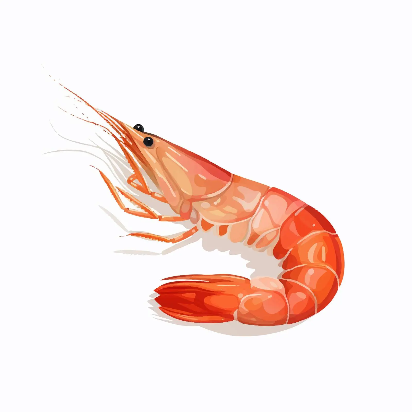 Isolated Shrimp Vector Illustration on White Background — free download from Dotvec