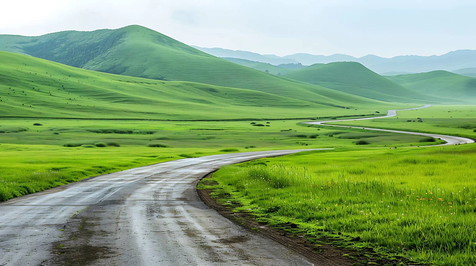 Tranquil Sichuan Grassland Road View — free download from Dotvec