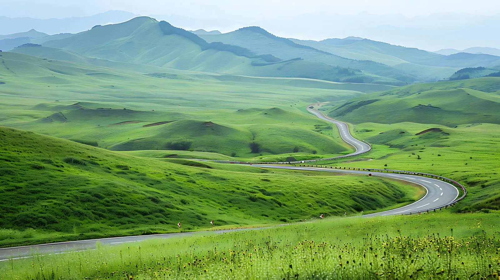 Tranquil Sichuan Grassland Highway Panorama — free download from Dotvec