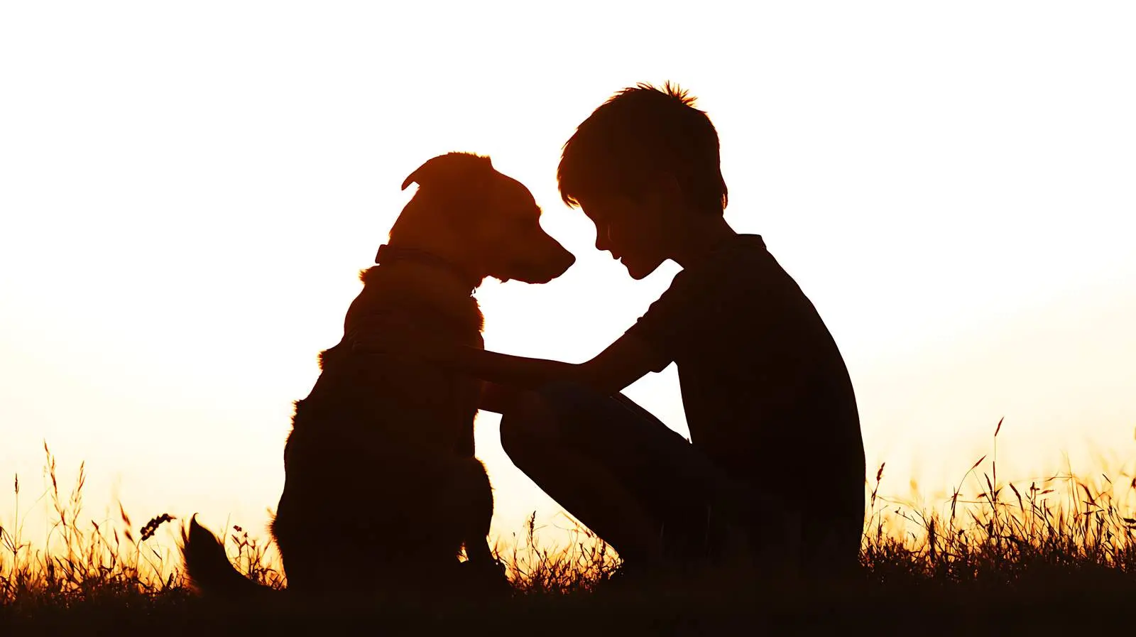 Boy and Dog Embracing at Sunset Silhouette — free download from Dotvec