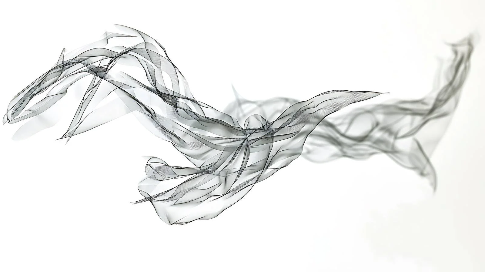 Elegant Silver Frame on White Background — free download from Dotvec