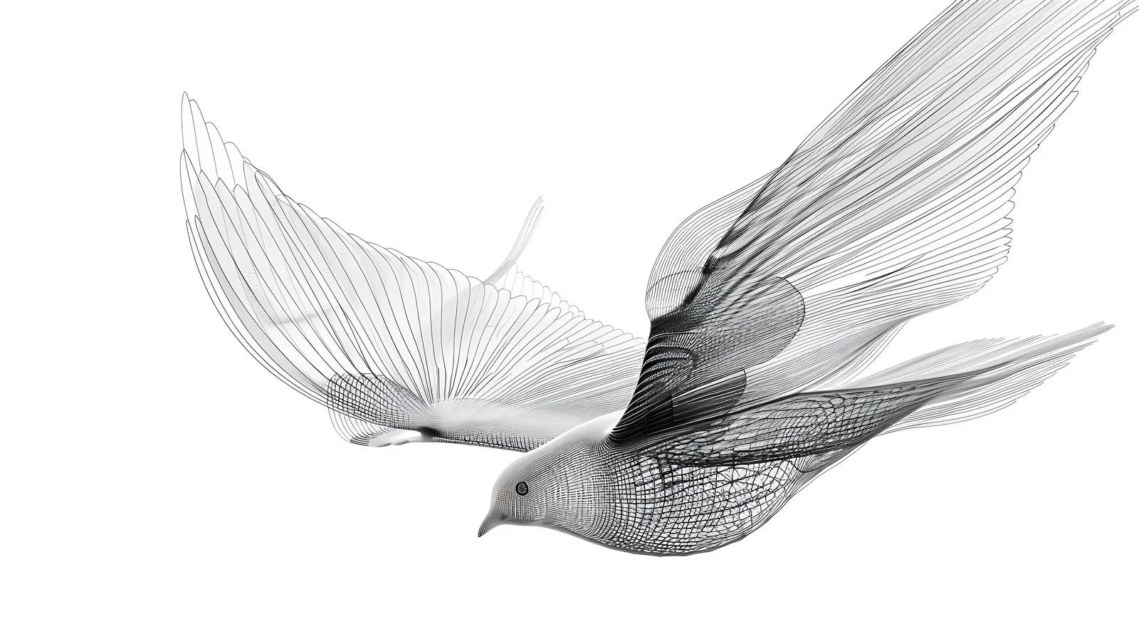 Elegant Silver Flying Frame — free download from Dotvec
