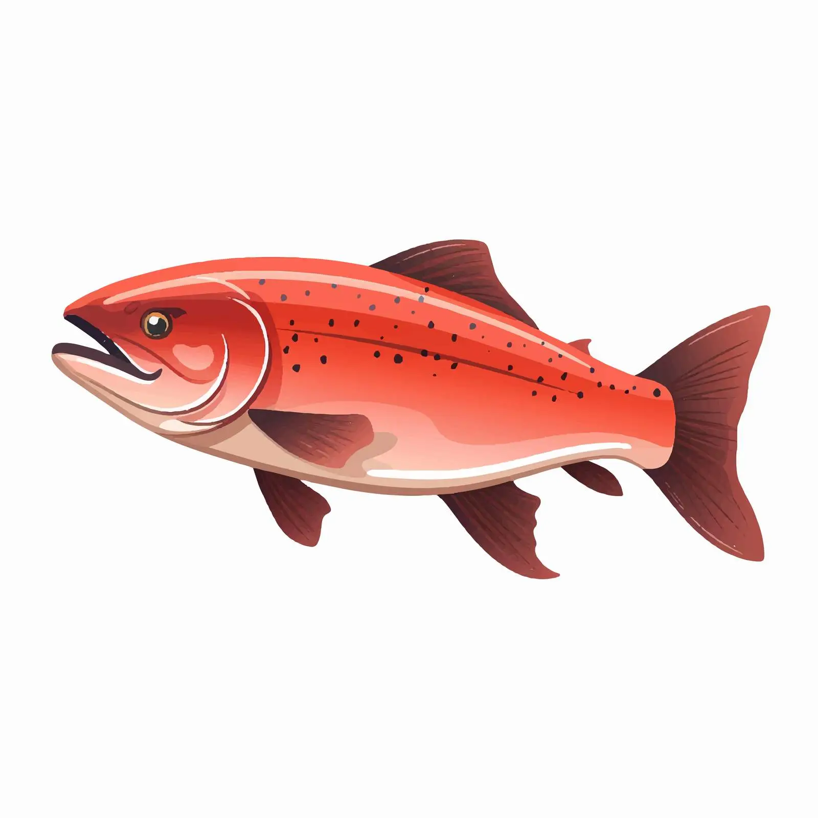 Cartoon Isolated Salmon Fish Vector Illustration — free download from Dotvec
