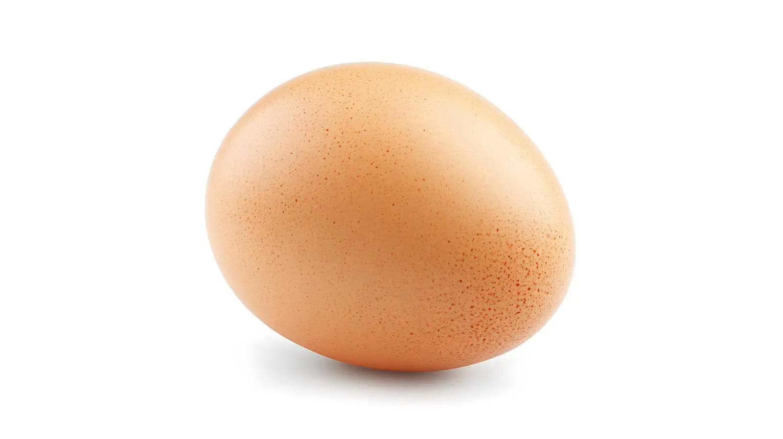 Premium Chicken Egg on White Background — free download from Dotvec