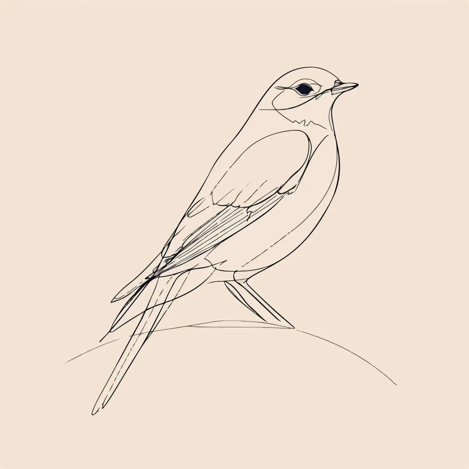 Bird Line Art Vector Illustration — free download from Dotvec
