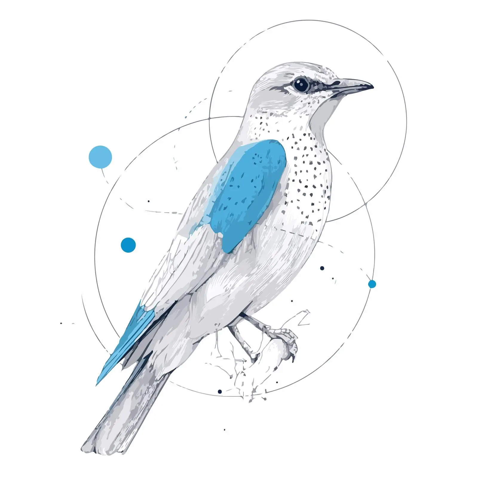 Bird Line Art in Blue — free download from Dotvec