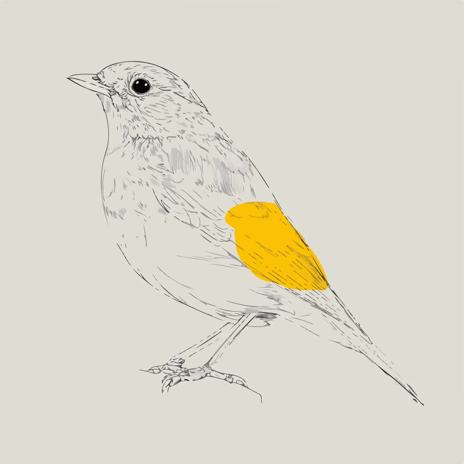 Minimalist Bird Line Art Illustration — free download from Dotvec