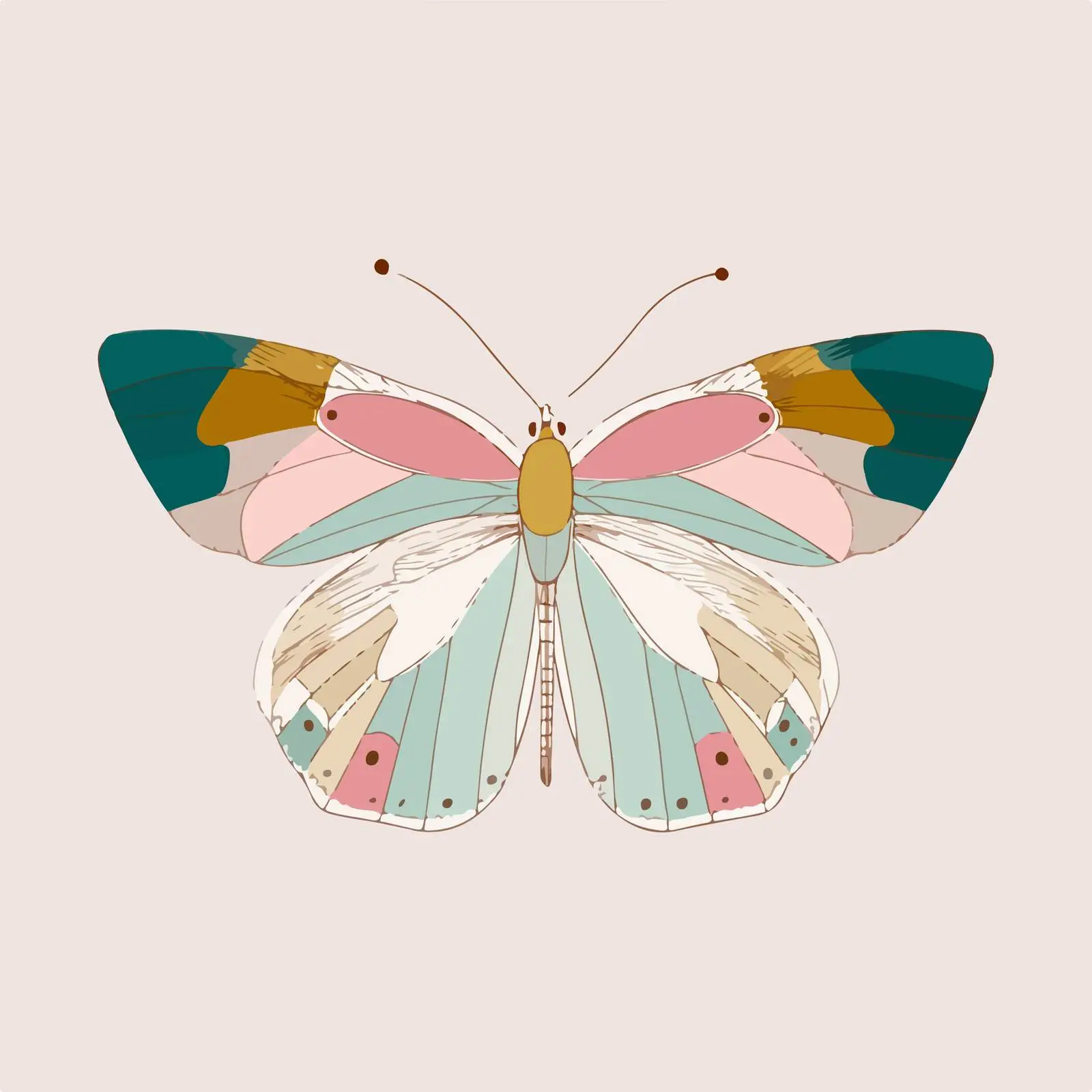 Butterfly Line Art Illustration — free download from Dotvec
