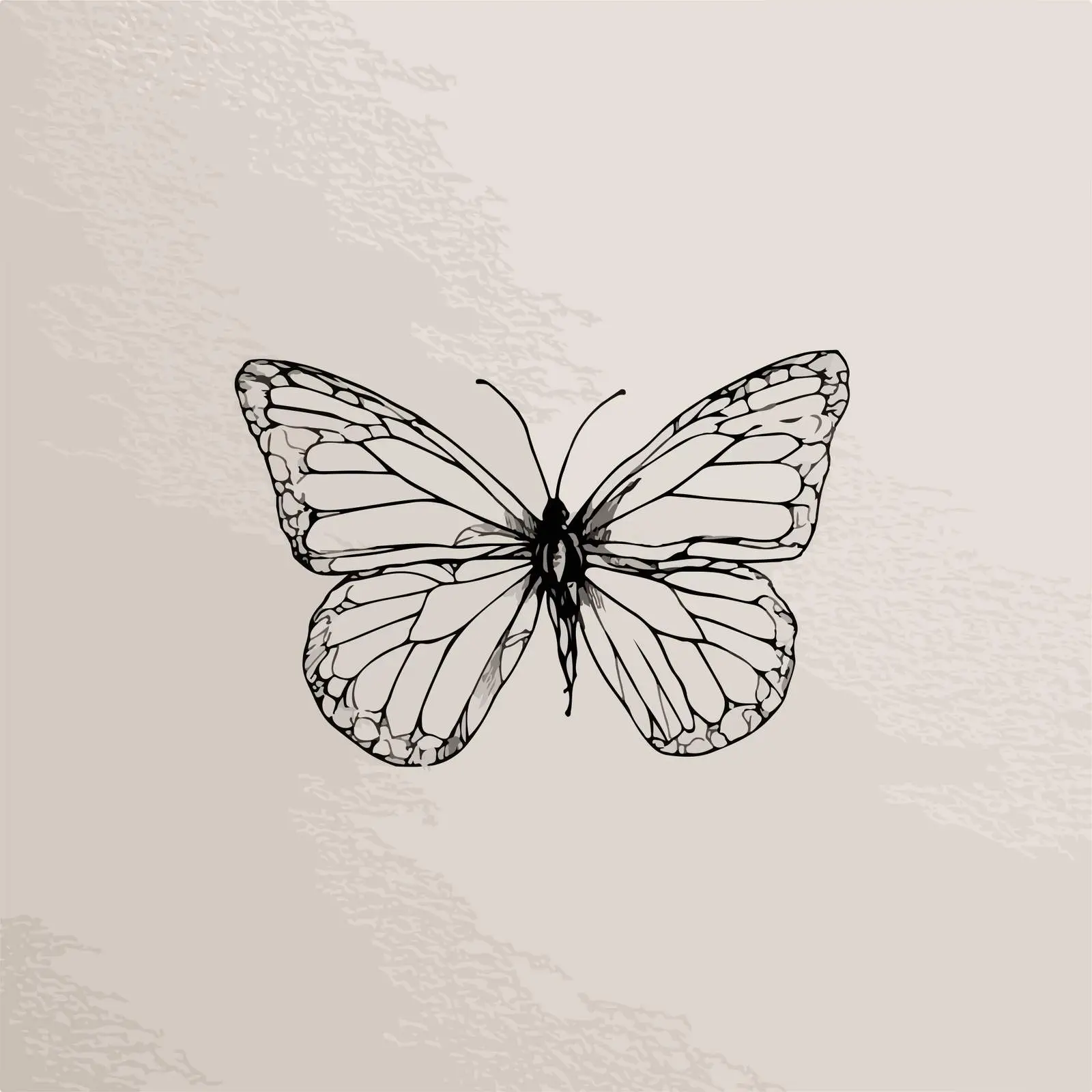 Minimalist Butterfly Line Art — free download from Dotvec