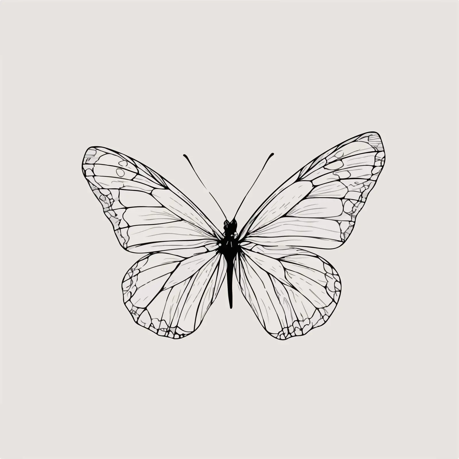 Sleek Butterfly Line Art — free download from Dotvec