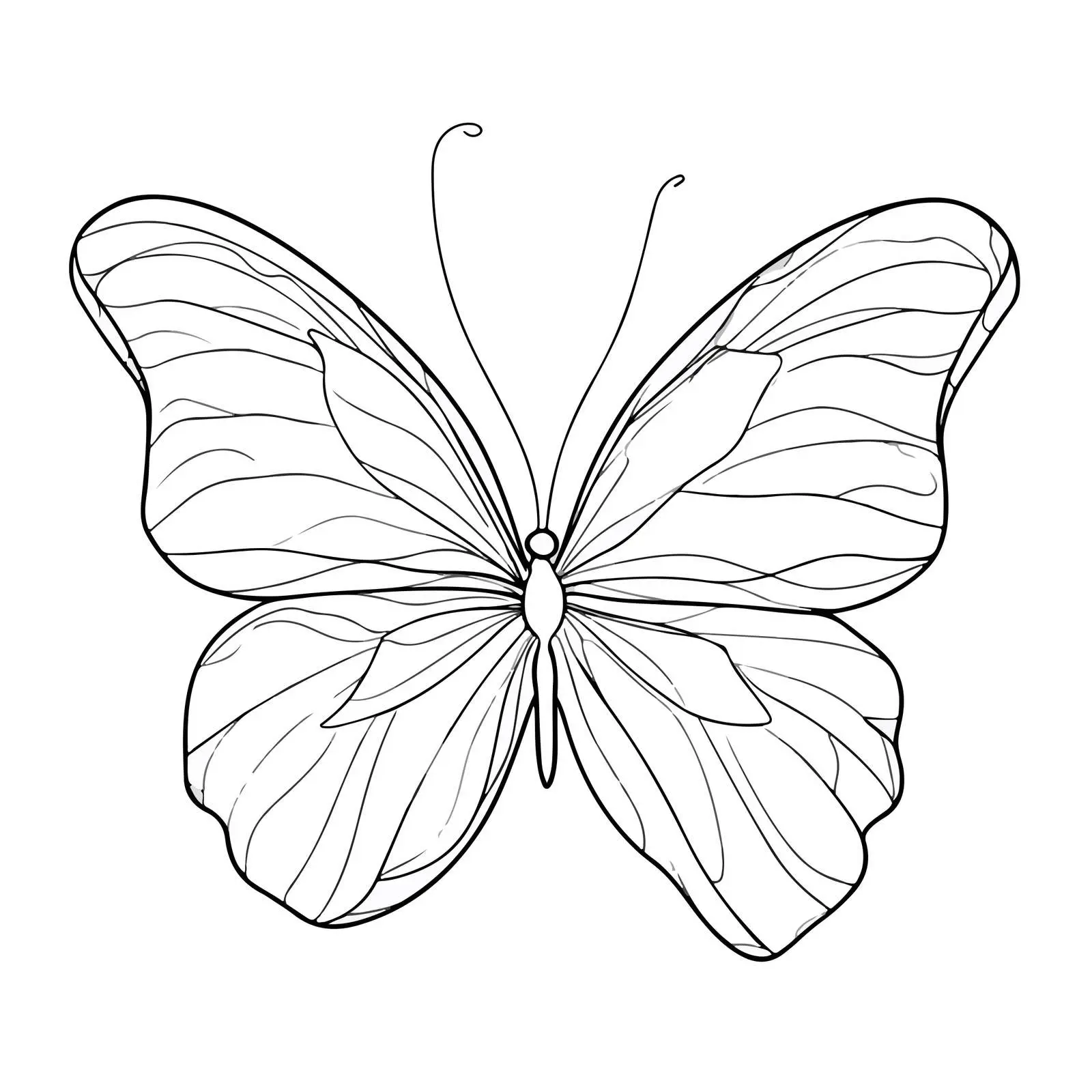 Butterfly Line Art Vector Illustration — free download from Dotvec