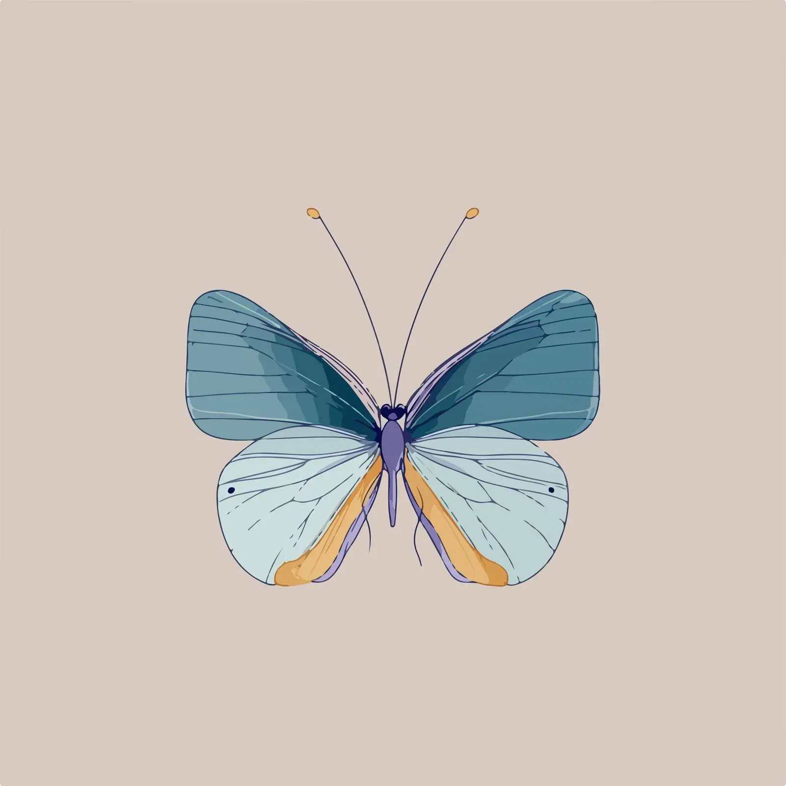 Butterfly Line Art Illustration — free download from Dotvec