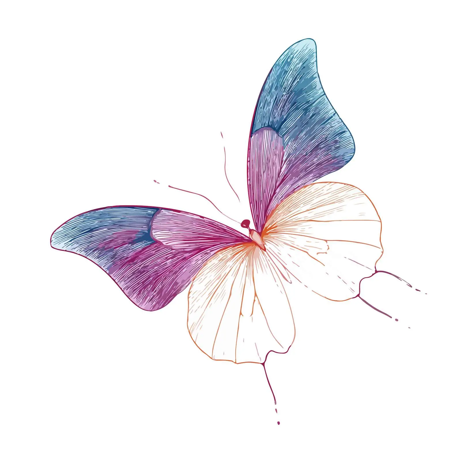 Butterfly Stroke Illustration — free download from Dotvec