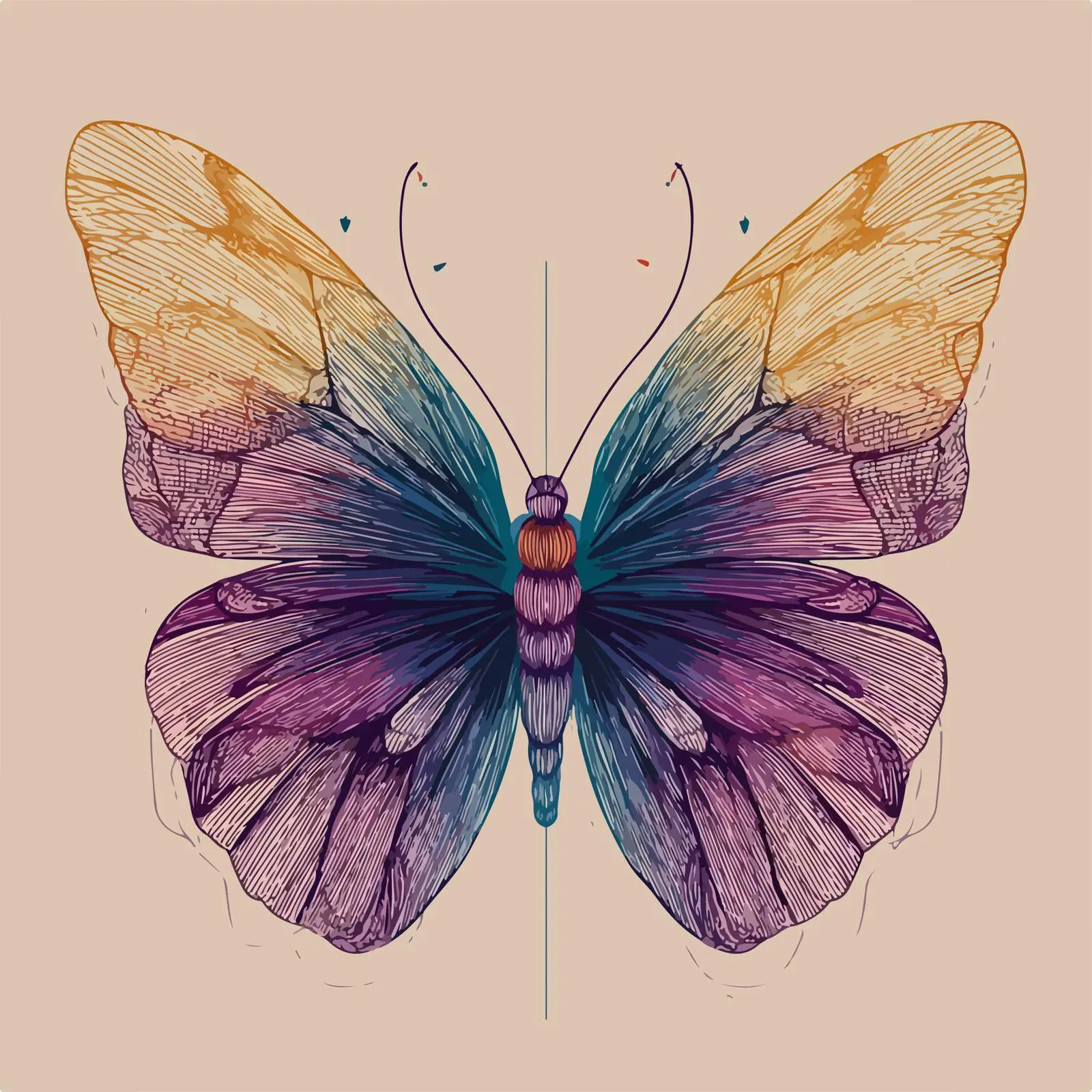 Elegant Butterfly Line Art Illustration — free download from Dotvec