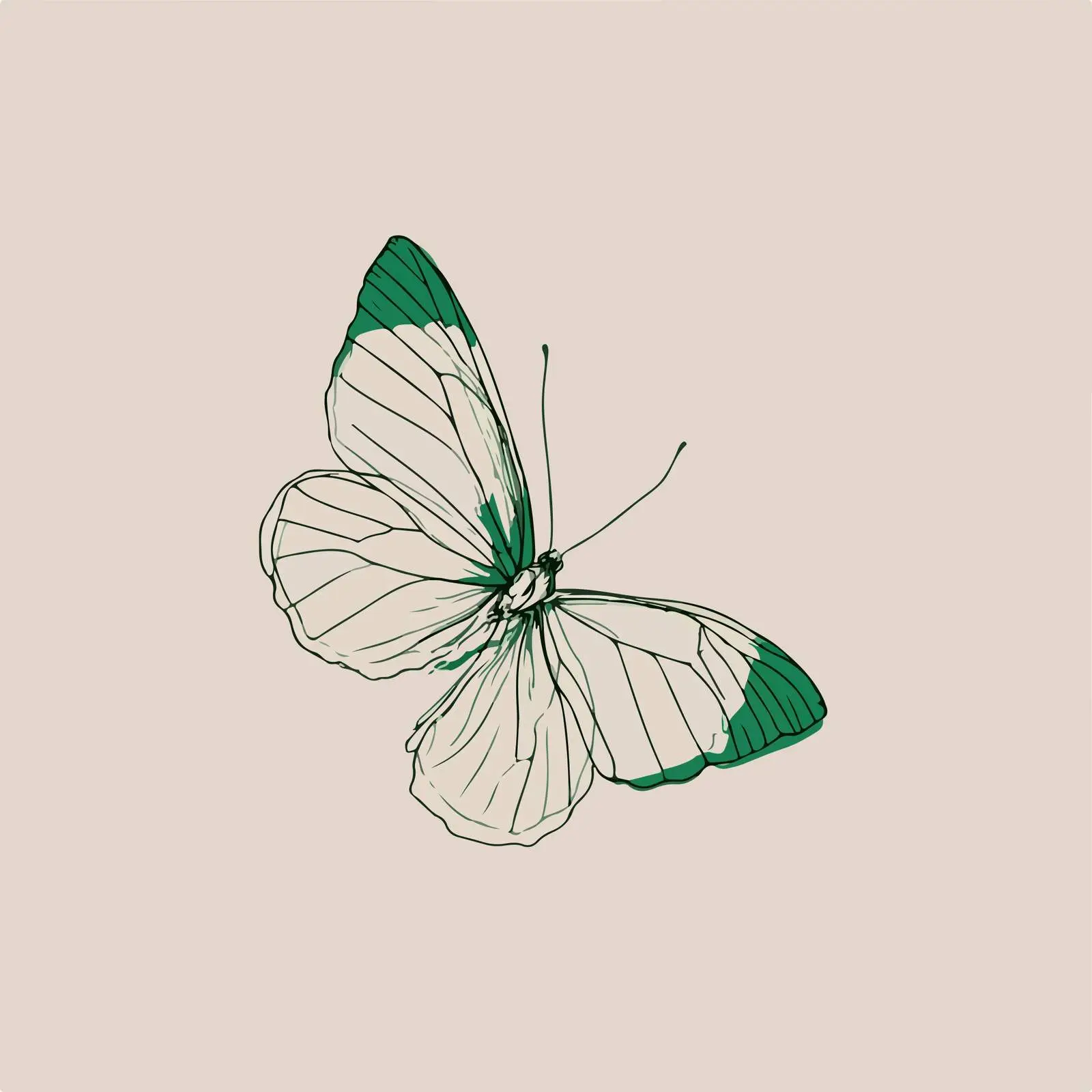 Minimalist Butterfly Line Art — free download from Dotvec