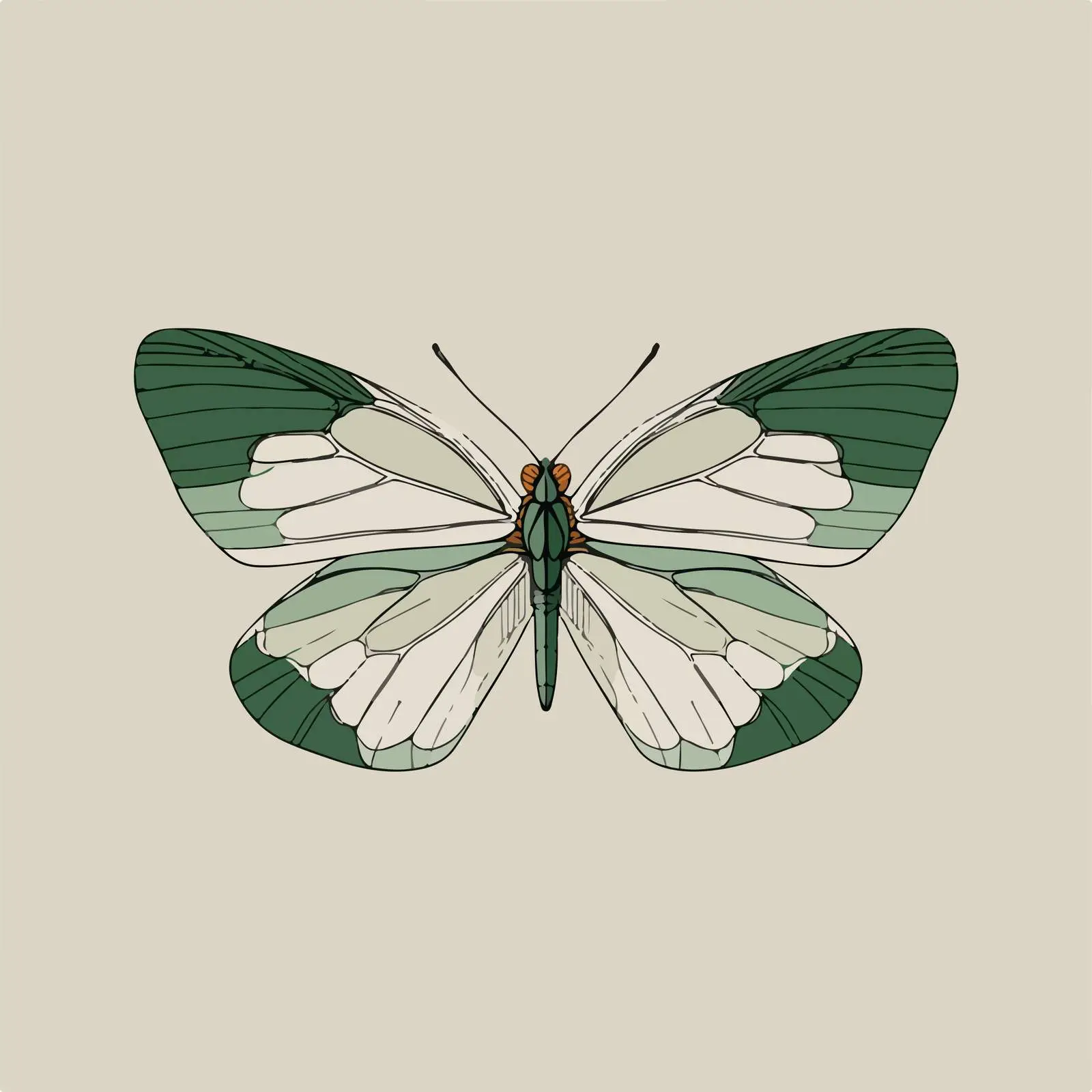 Minimalist Butterfly Line Art Illustration — free download from Dotvec