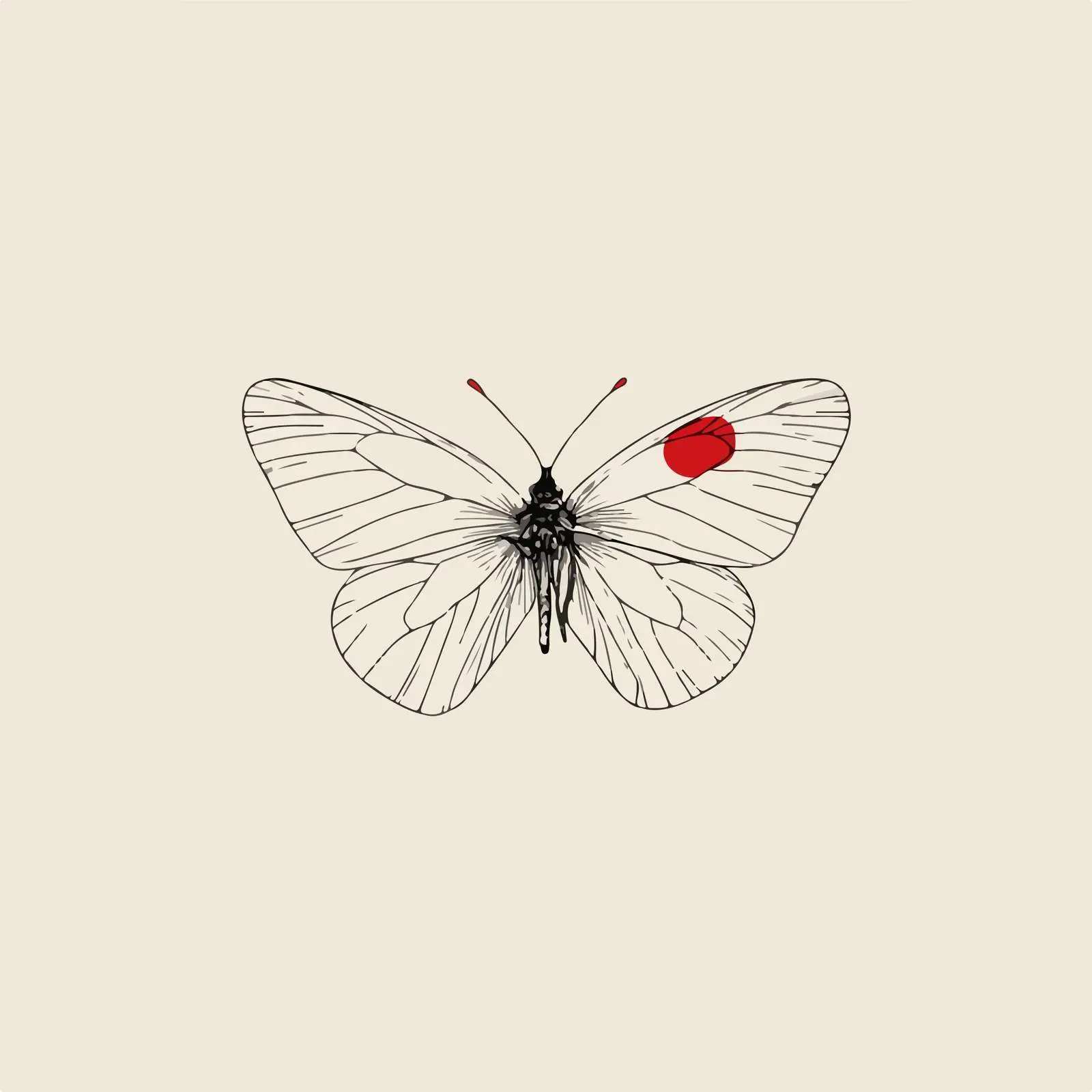 Elegant Butterfly Line Art — free download from Dotvec
