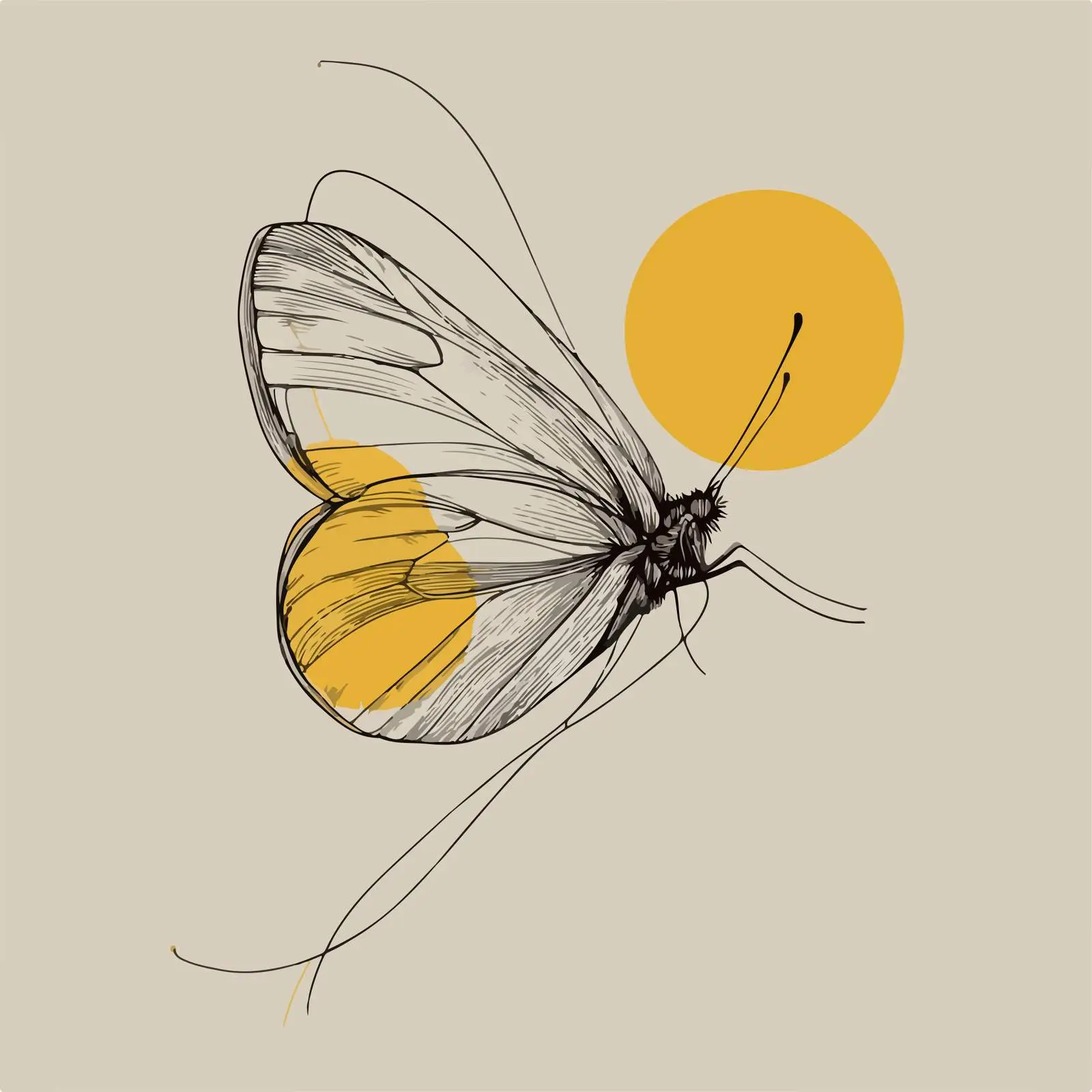 Butterfly Stroke Line Art — free download from Dotvec