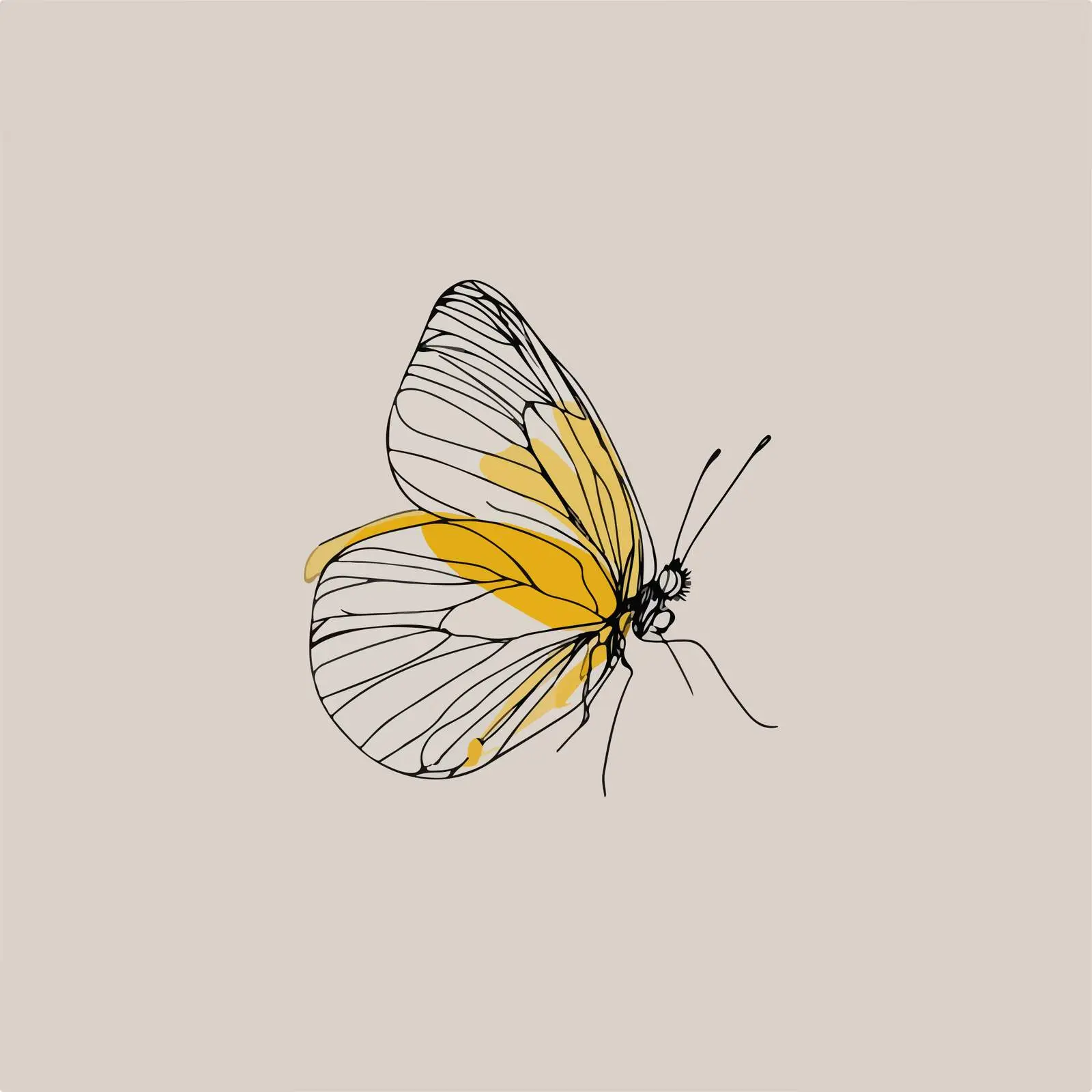 Butterfly Line Art Illustration — free download from Dotvec