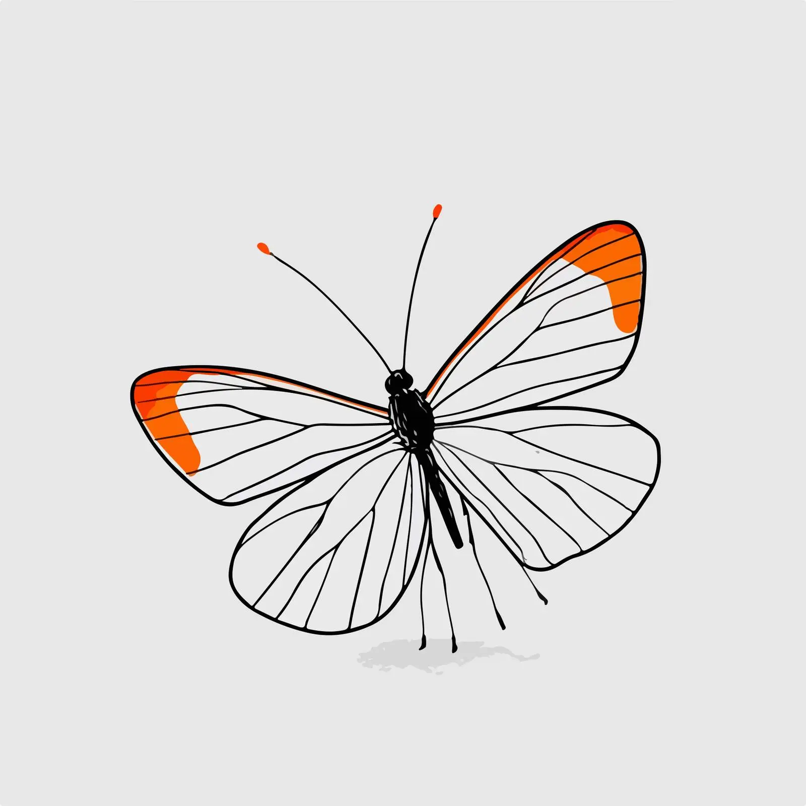 Minimalist Butterfly Line Art — free download from Dotvec