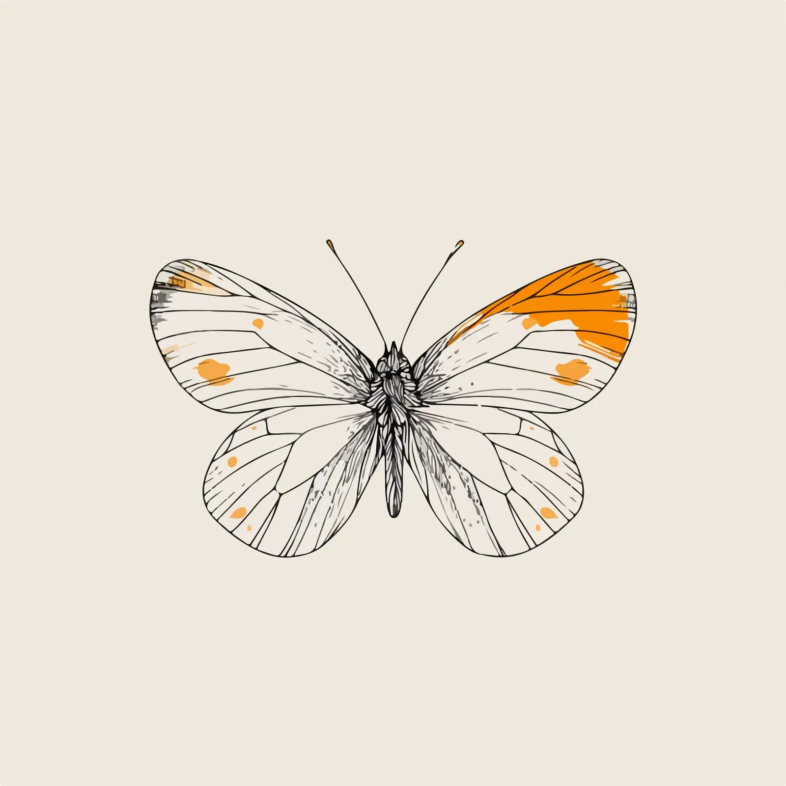 Minimal Butterfly Stroke Illustration — free download from Dotvec