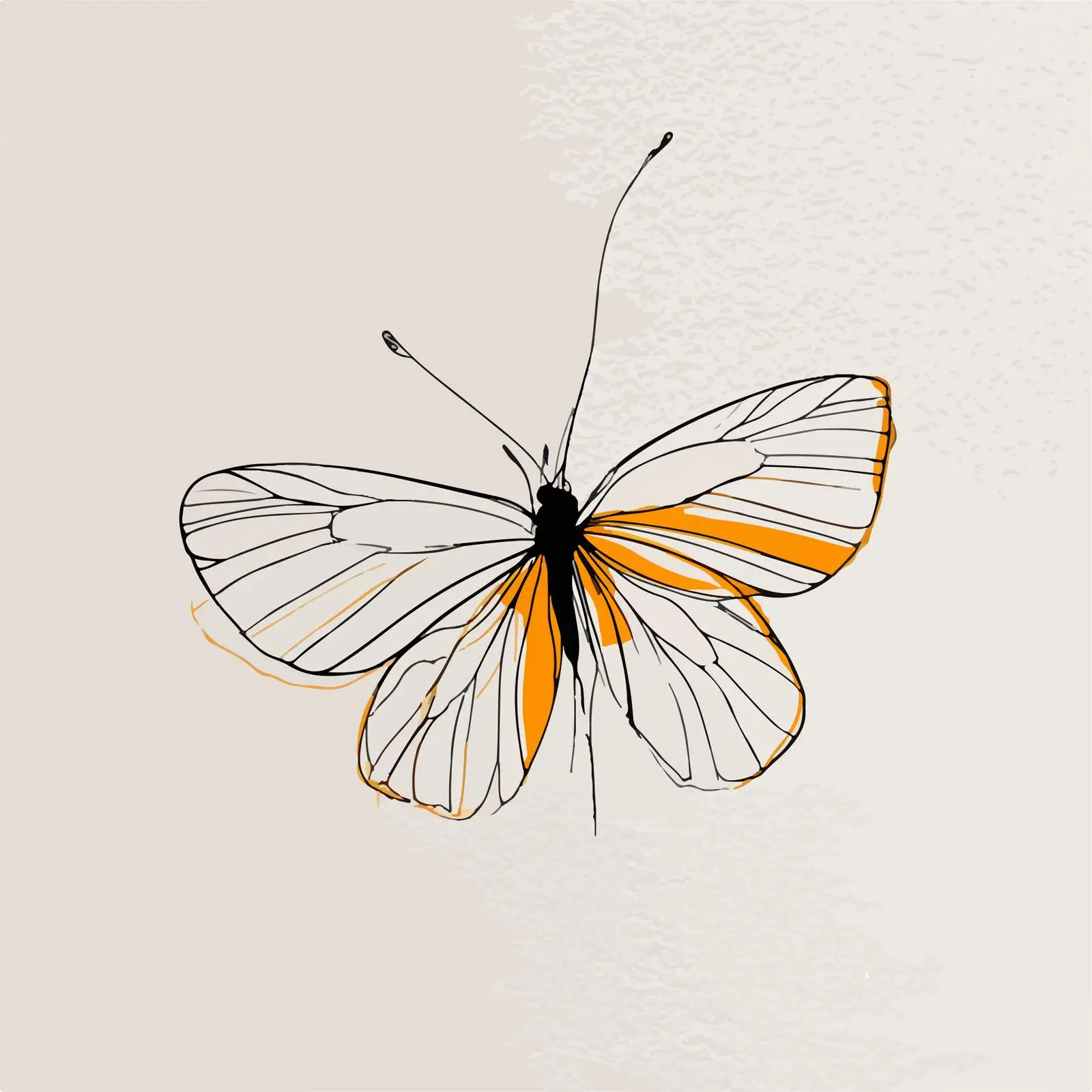 Minimalist Butterfly Stroke Illustration – free flawless image from Dotvec
