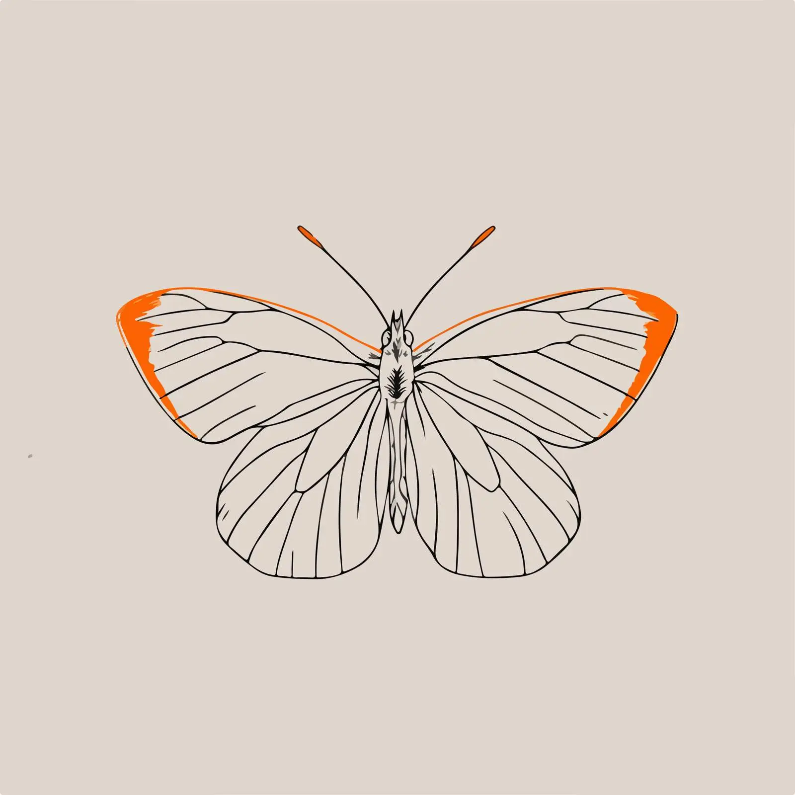 Minimalist Butterfly Stroke Illustration — free download from Dotvec