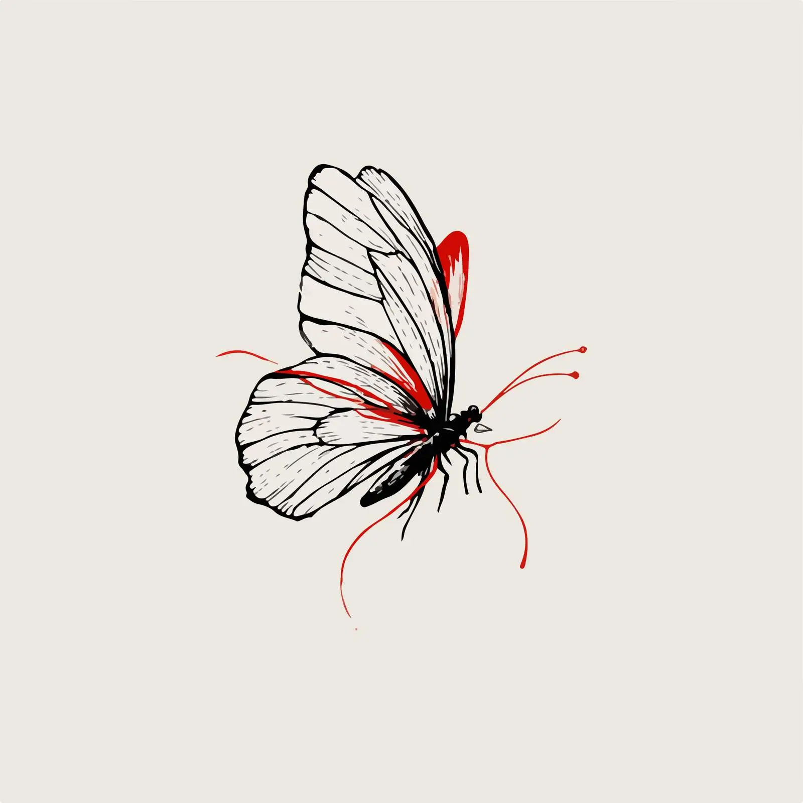 Sleek Butterfly Line Art with Red Accent — free download from Dotvec