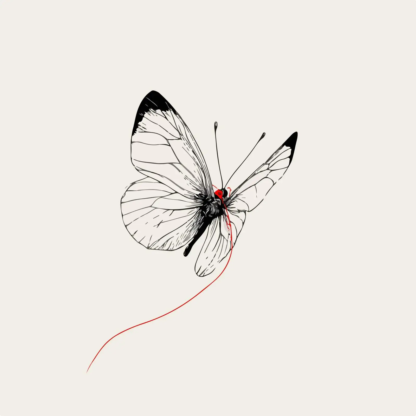 Minimalist Butterfly Red Accent Illustration — free download from Dotvec