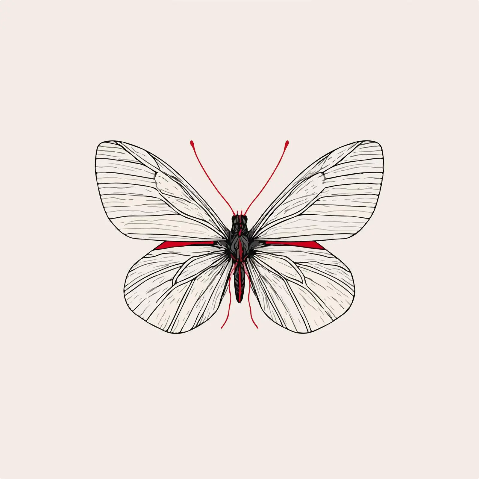 Elegant Butterfly Line Art with Red Accent — free download from Dotvec