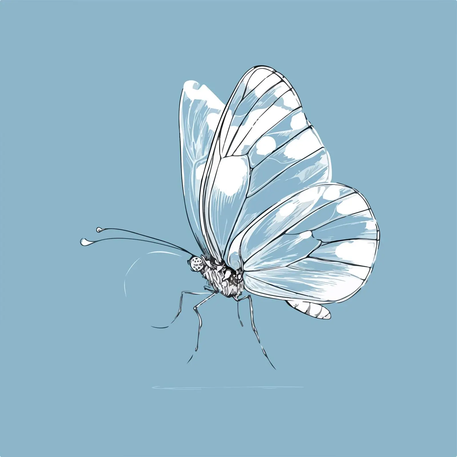 Minimalist Butterfly Line Drawing — free download from Dotvec