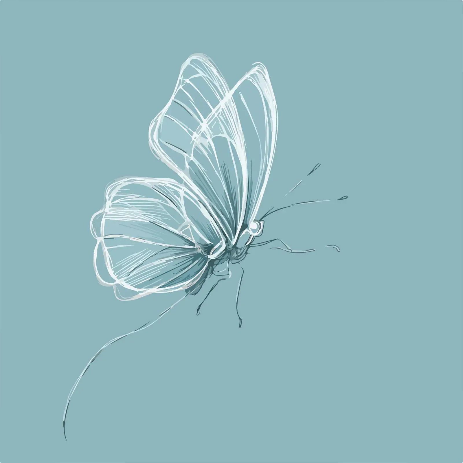 Elegant Butterfly Sketch — free download from Dotvec