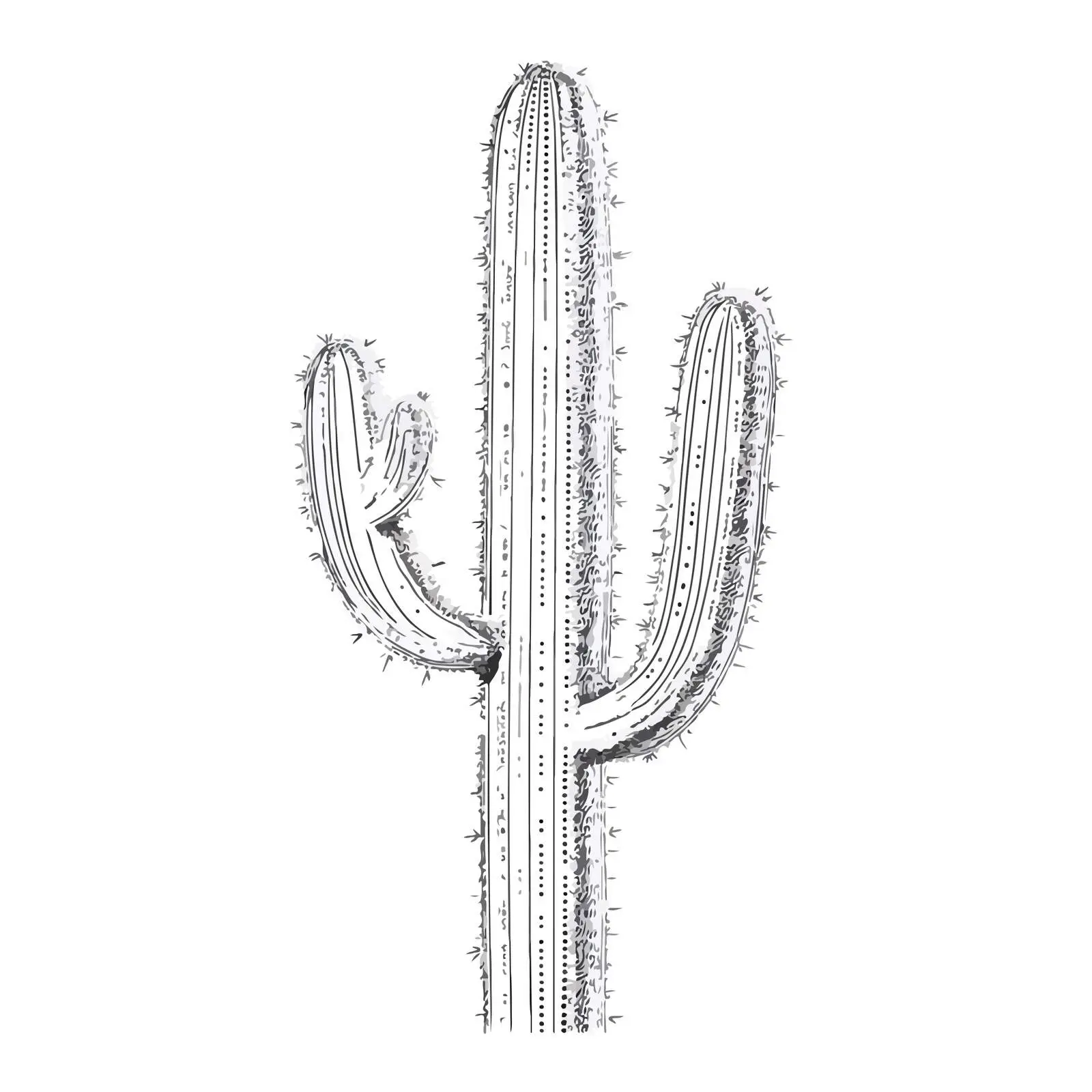 Minimalist Cactus Outline Illustration — free download from Dotvec