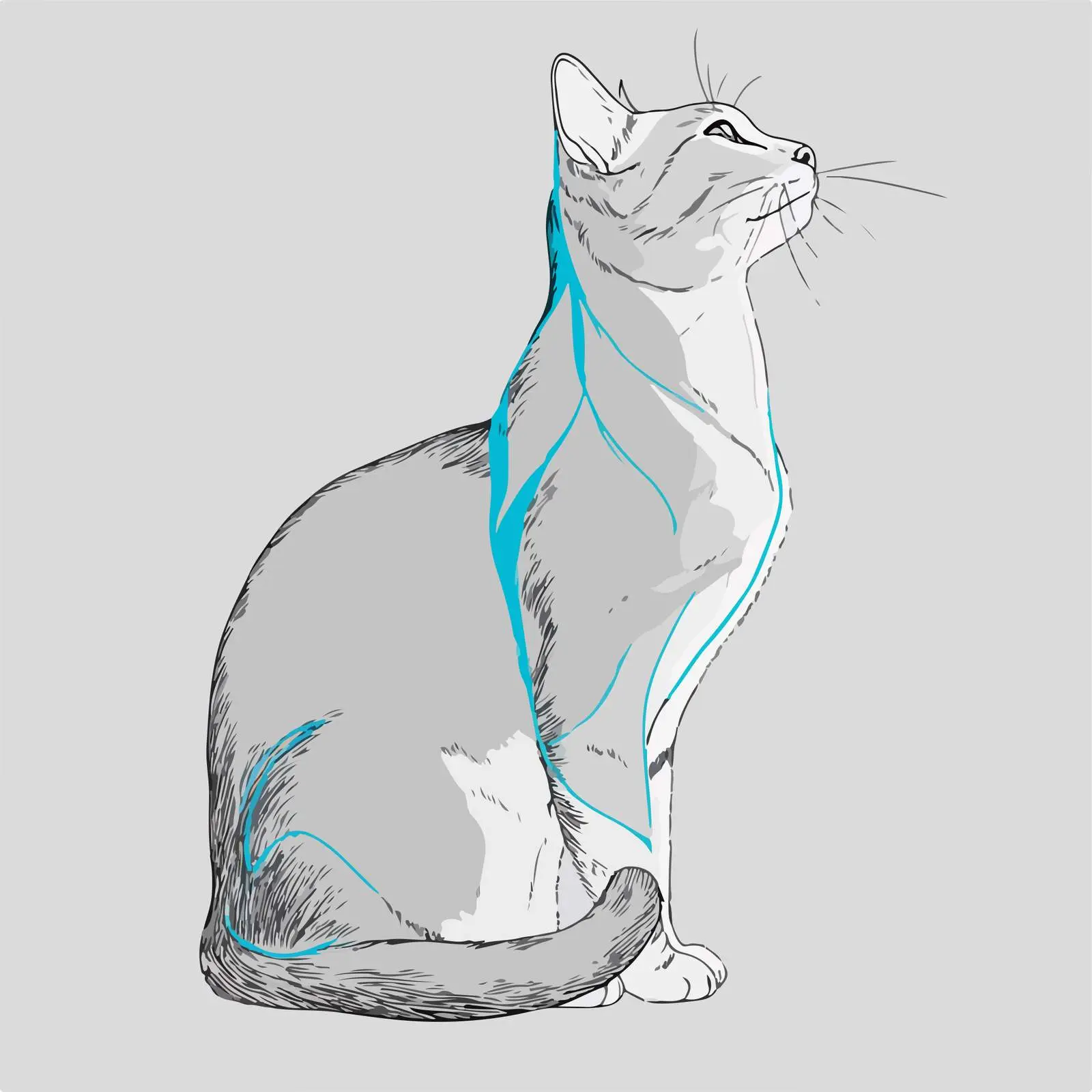 Minimalist Cat Line Art in Blue — free download from Dotvec