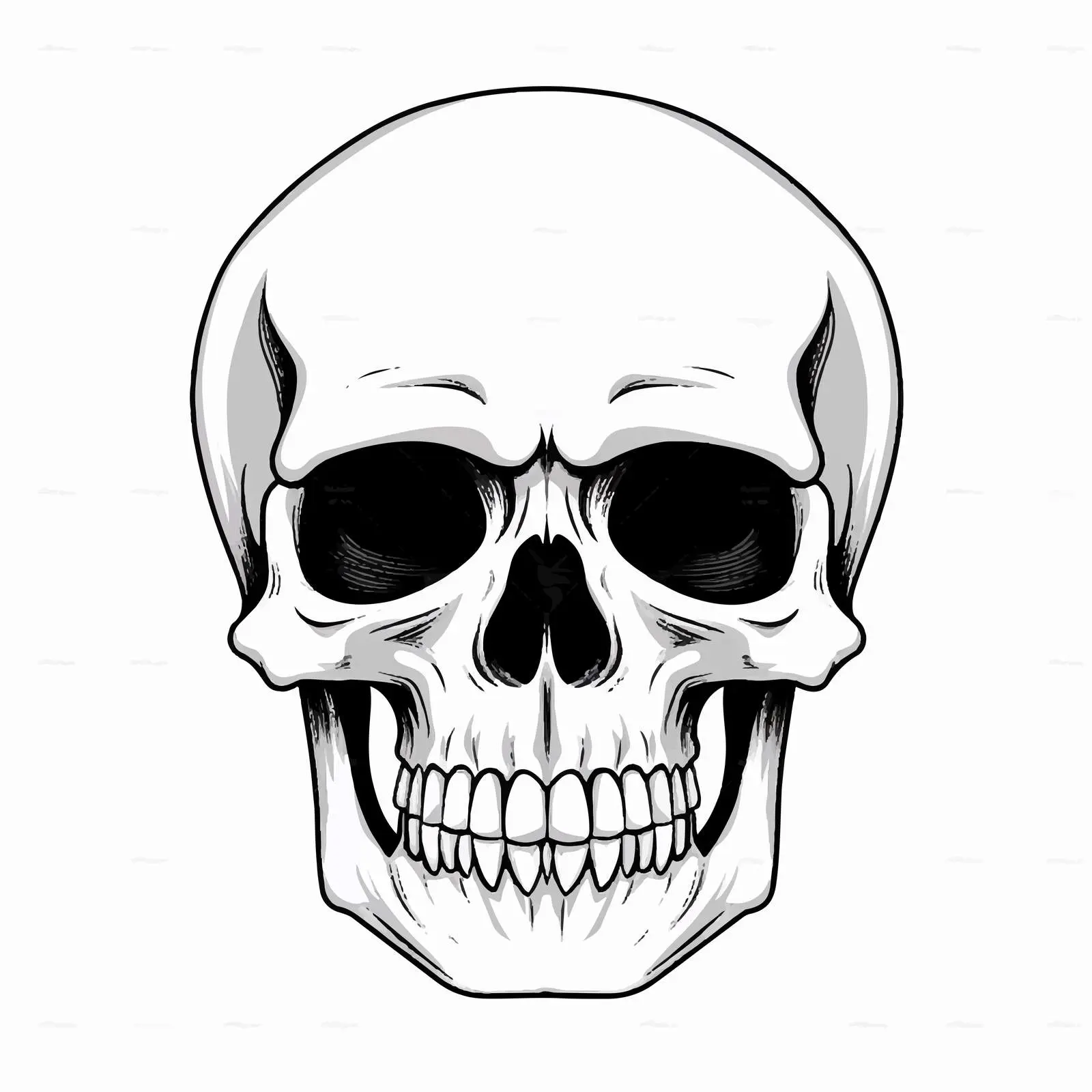 Skull Line Vector Illustration on White Background — free download from Dotvec