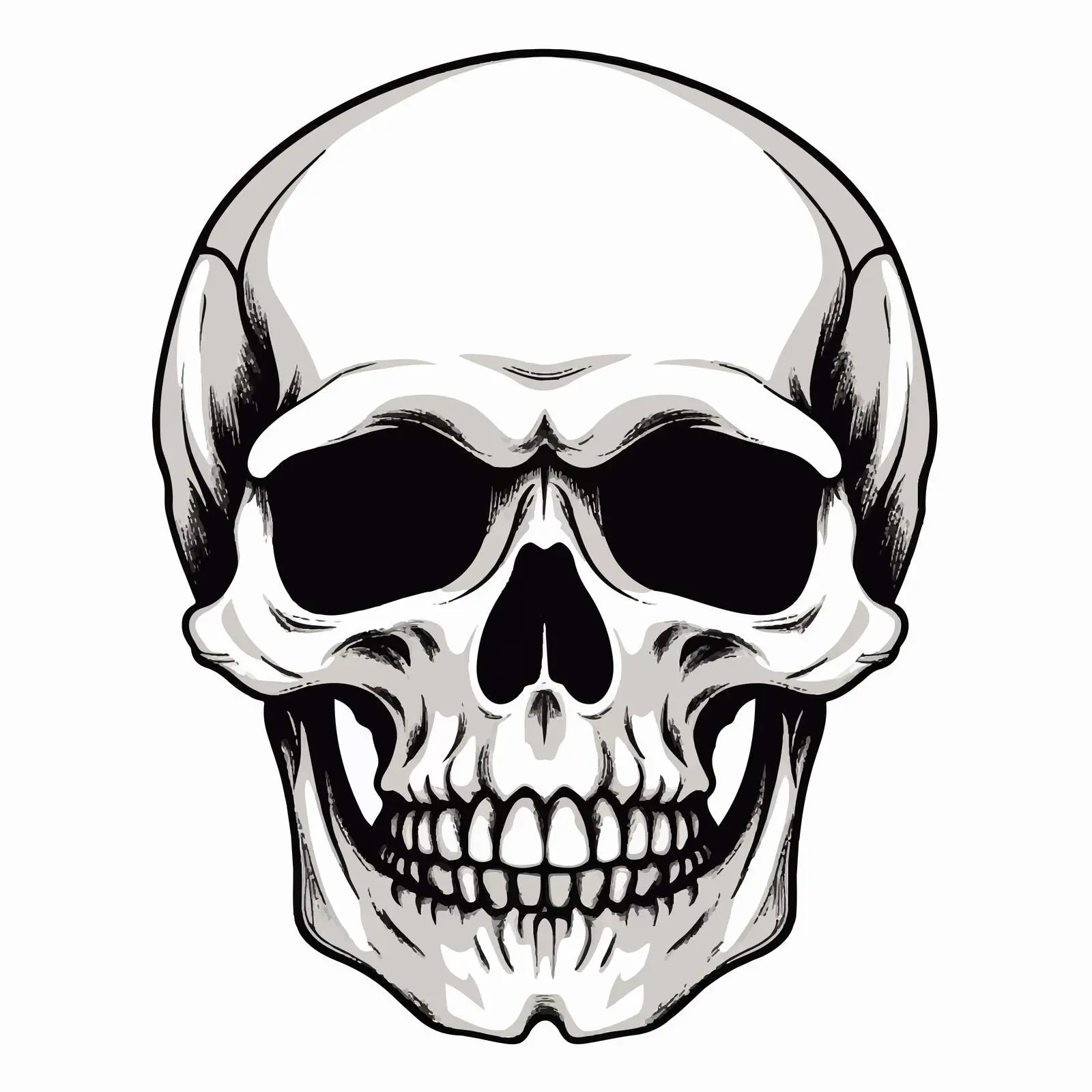 Skull Line Vector Illustration on White Background — free download from Dotvec