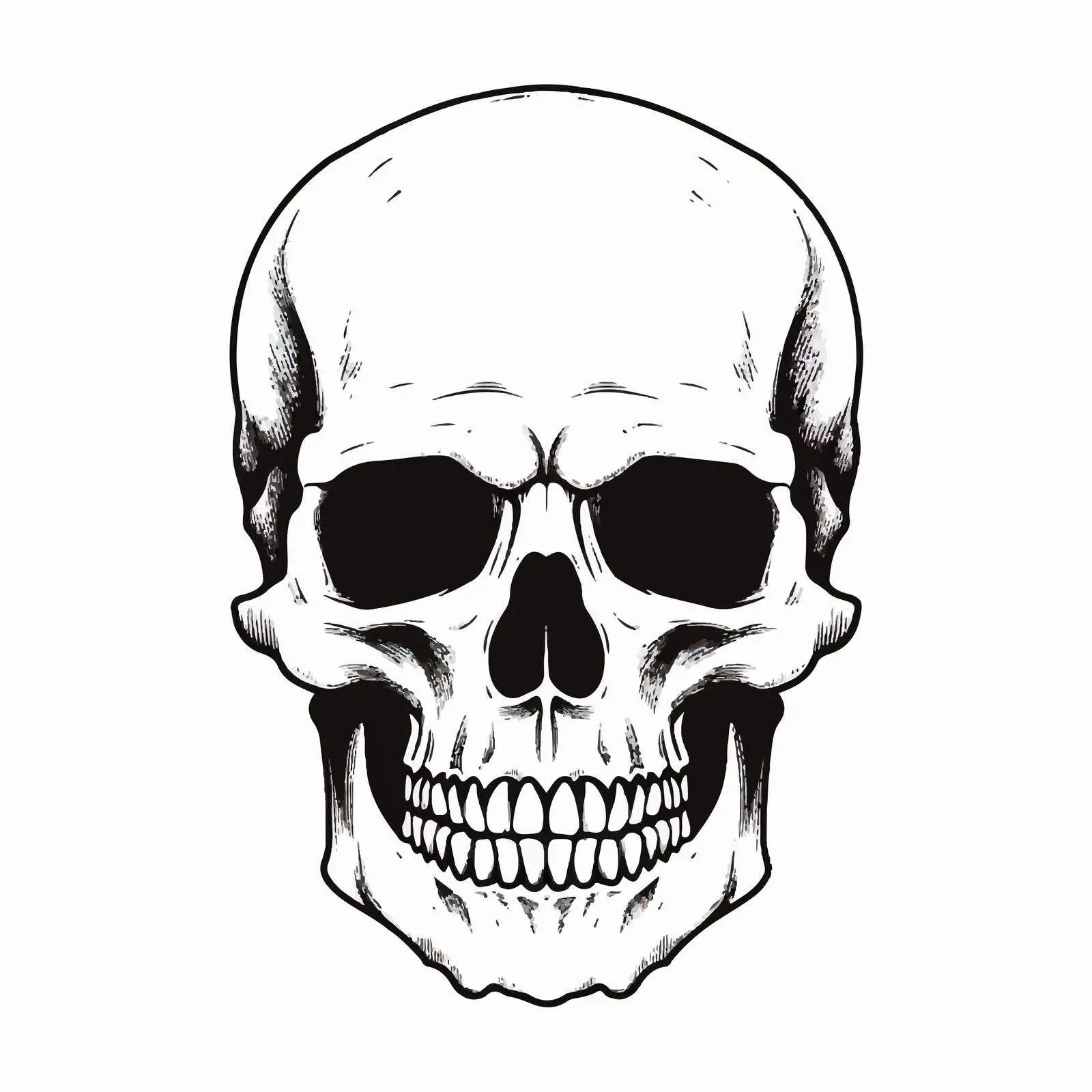 Skull Outline Vector Illustration on White Background — free download from Dotvec