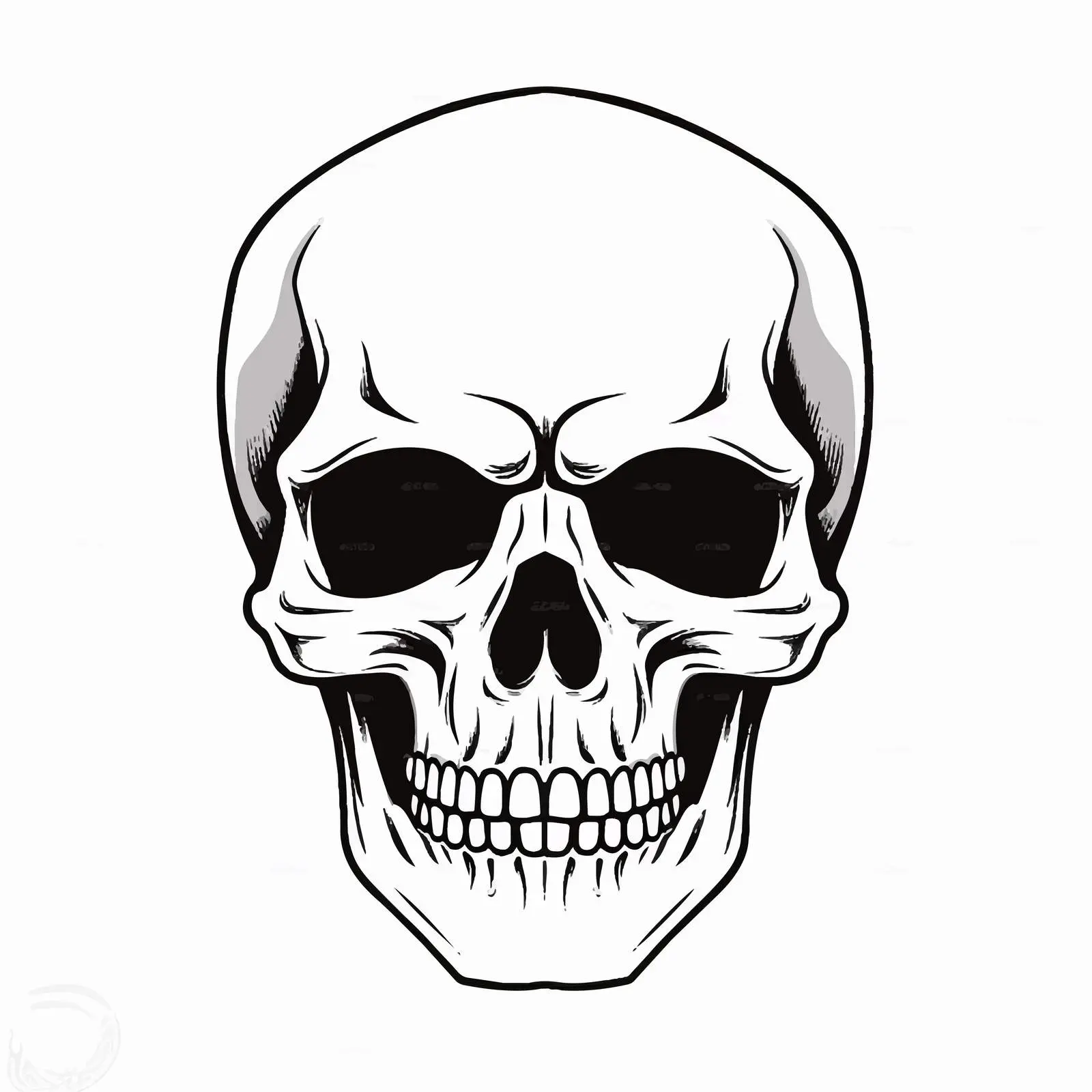 Skull Outline Vector Illustration on White Background — free download from Dotvec