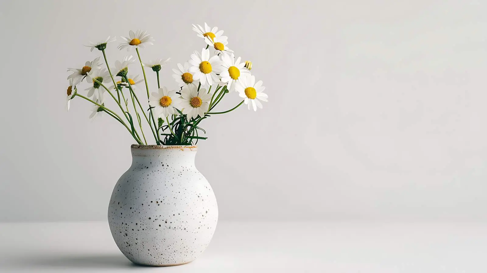 Chamomile Daisy Flowers Bouquet in Ceramic Vase — free download from Dotvec