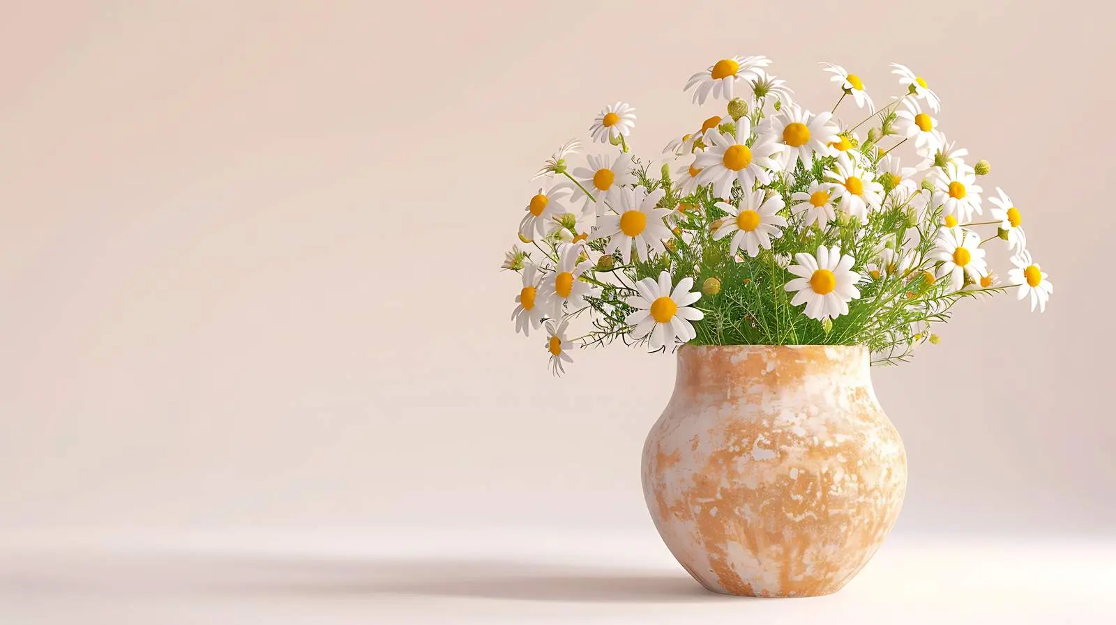 Chamomile Daisy Flowers Bouquet in Ceramic Vase — free download from Dotvec