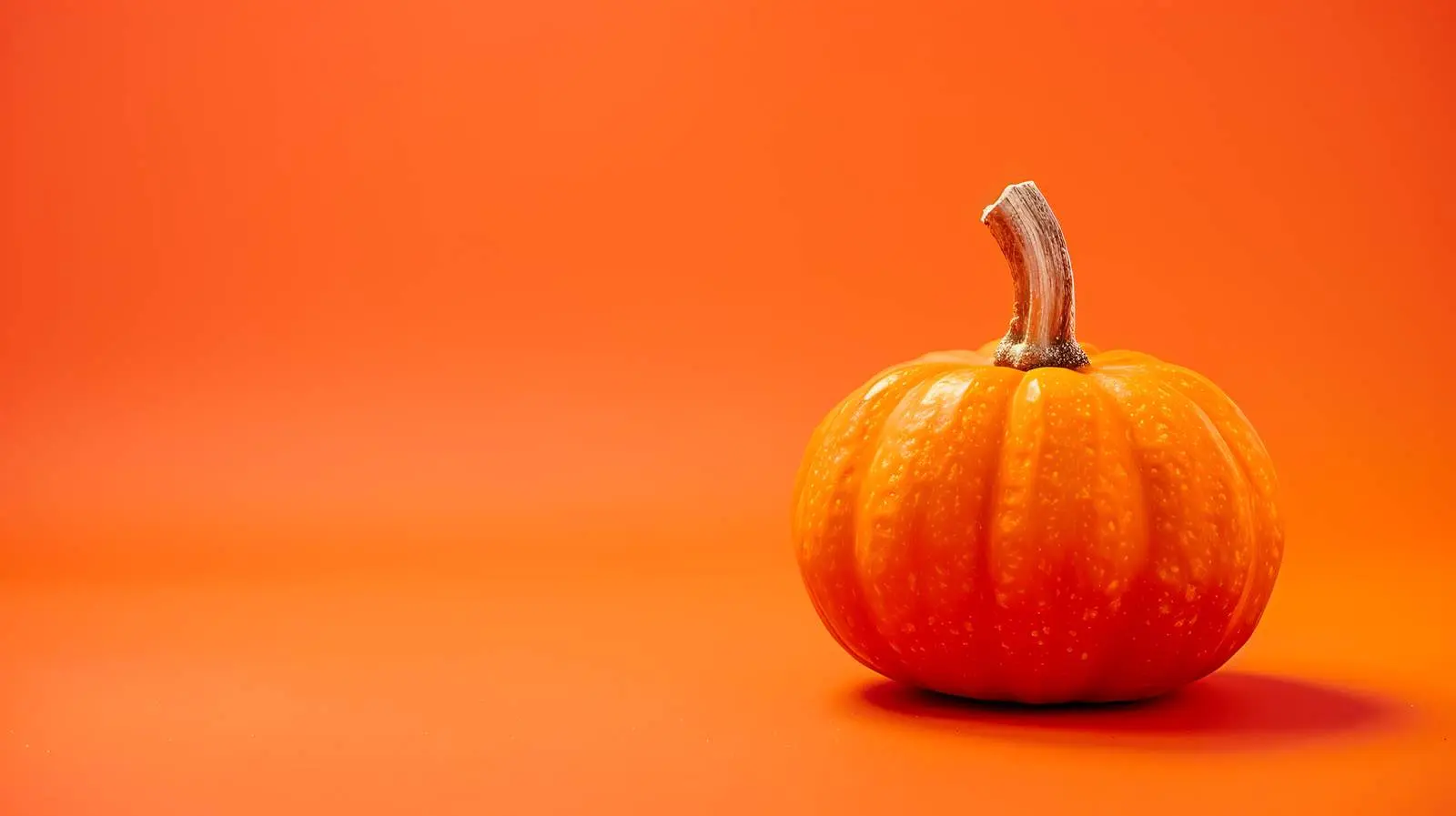 Decorative Pumpkin on Vibrant Autumn Background — free download from Dotvec